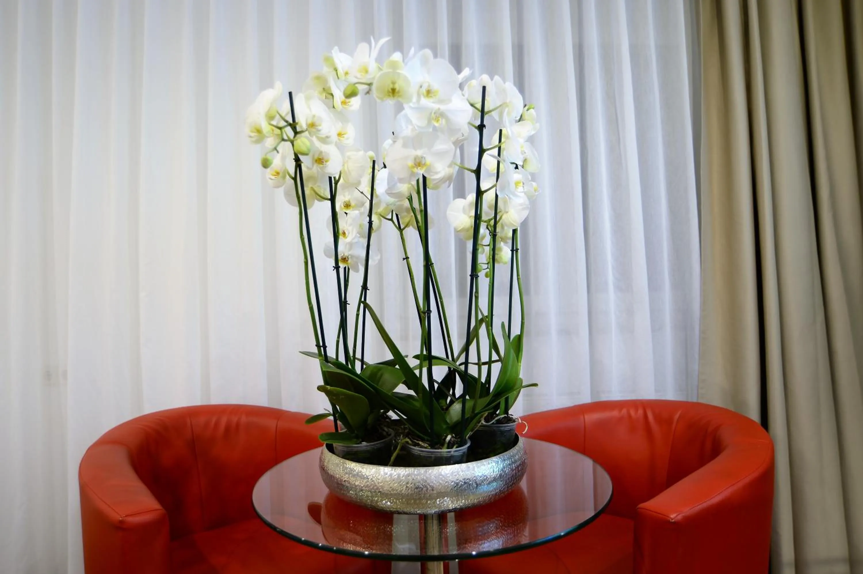 Decorative detail in Ascot Hotel