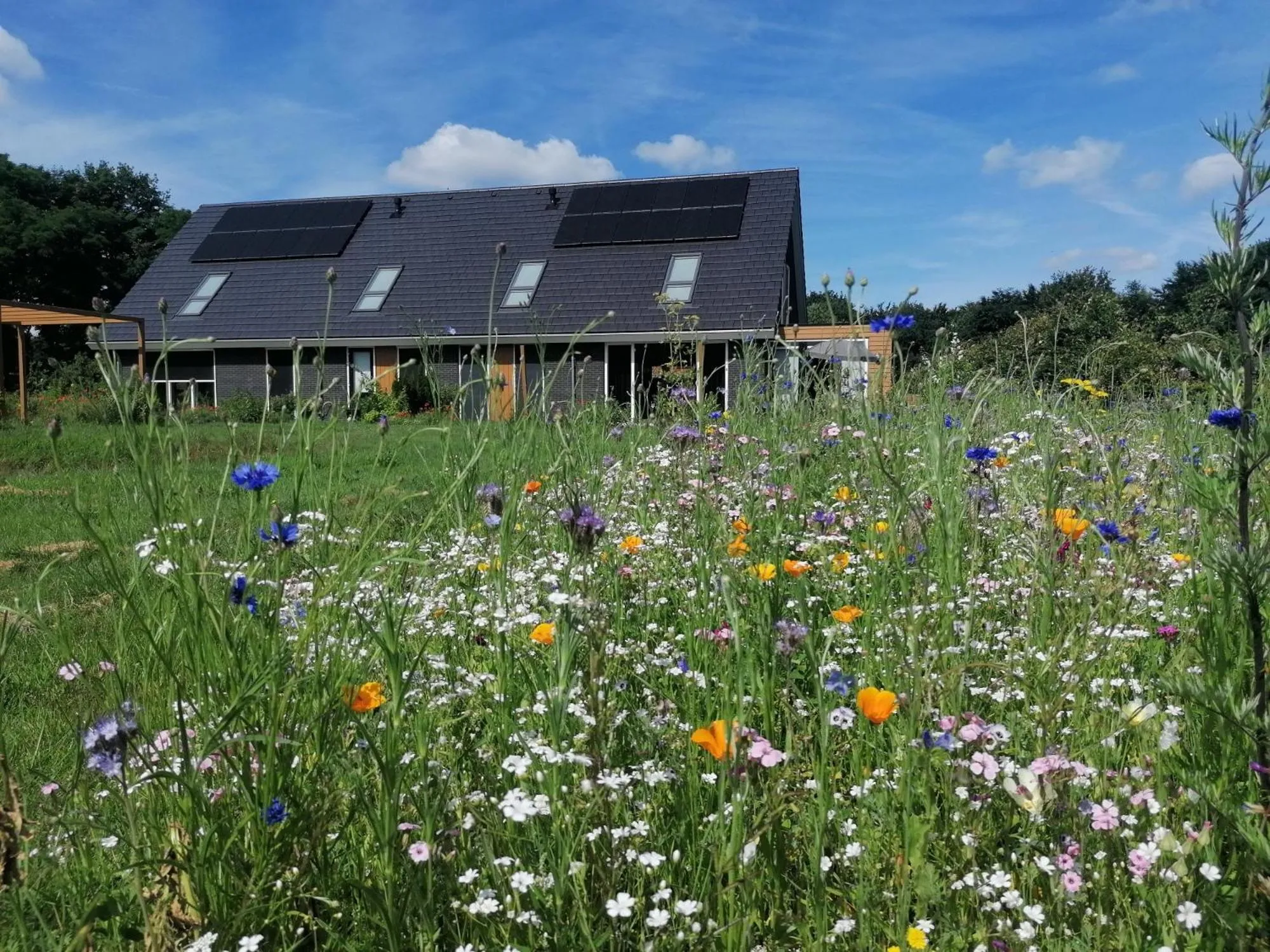 Property building in B&B Speulderveld