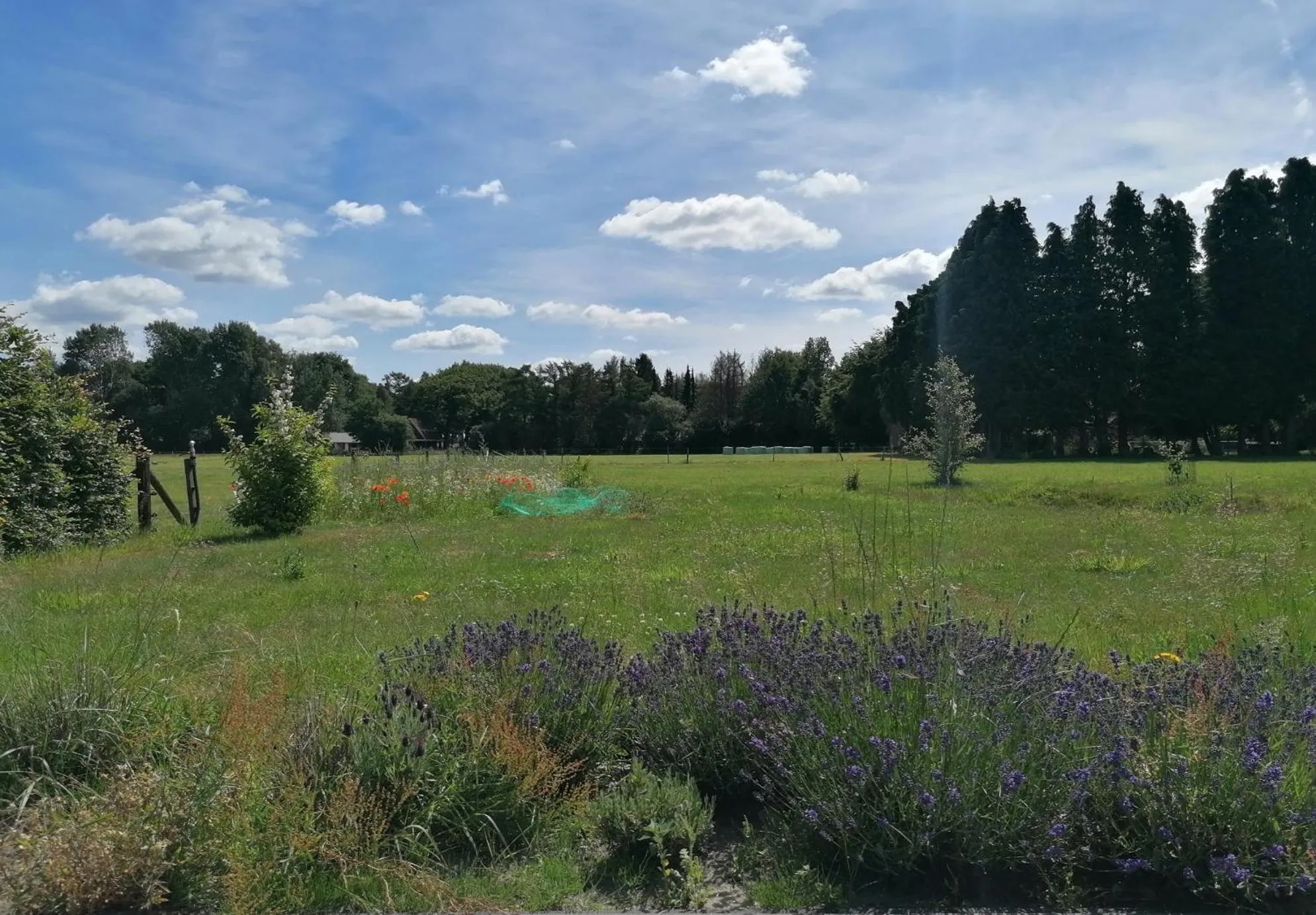 Garden view in B&B Speulderveld