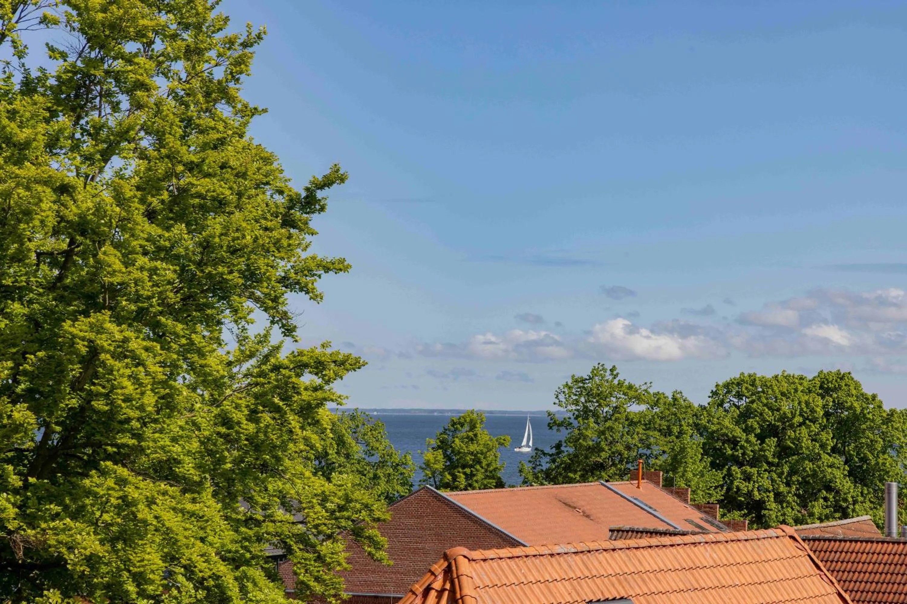 View (from property/room) in Apartments Altes Konsulat