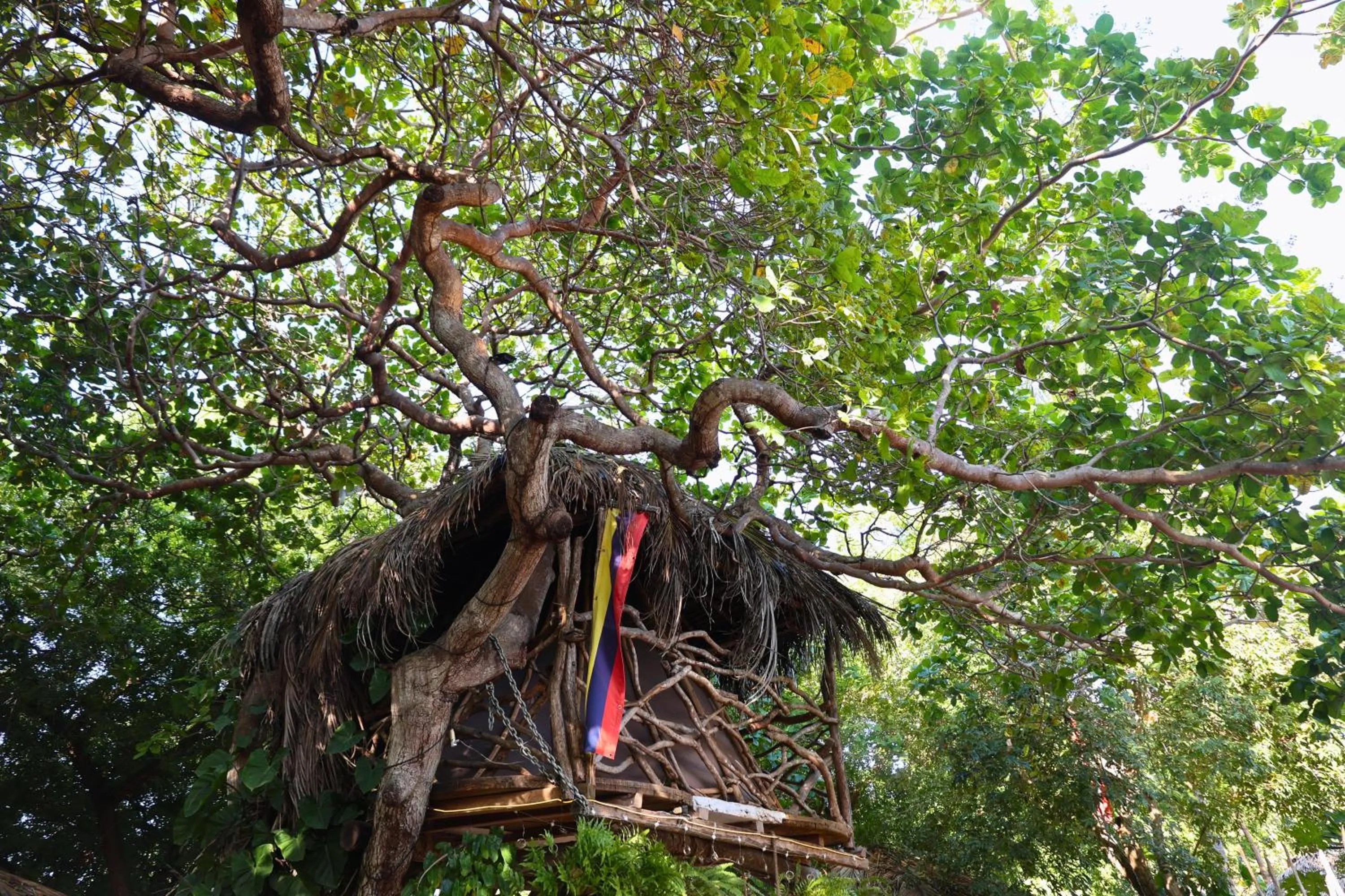 Property building in Treehouse Jericoacoara