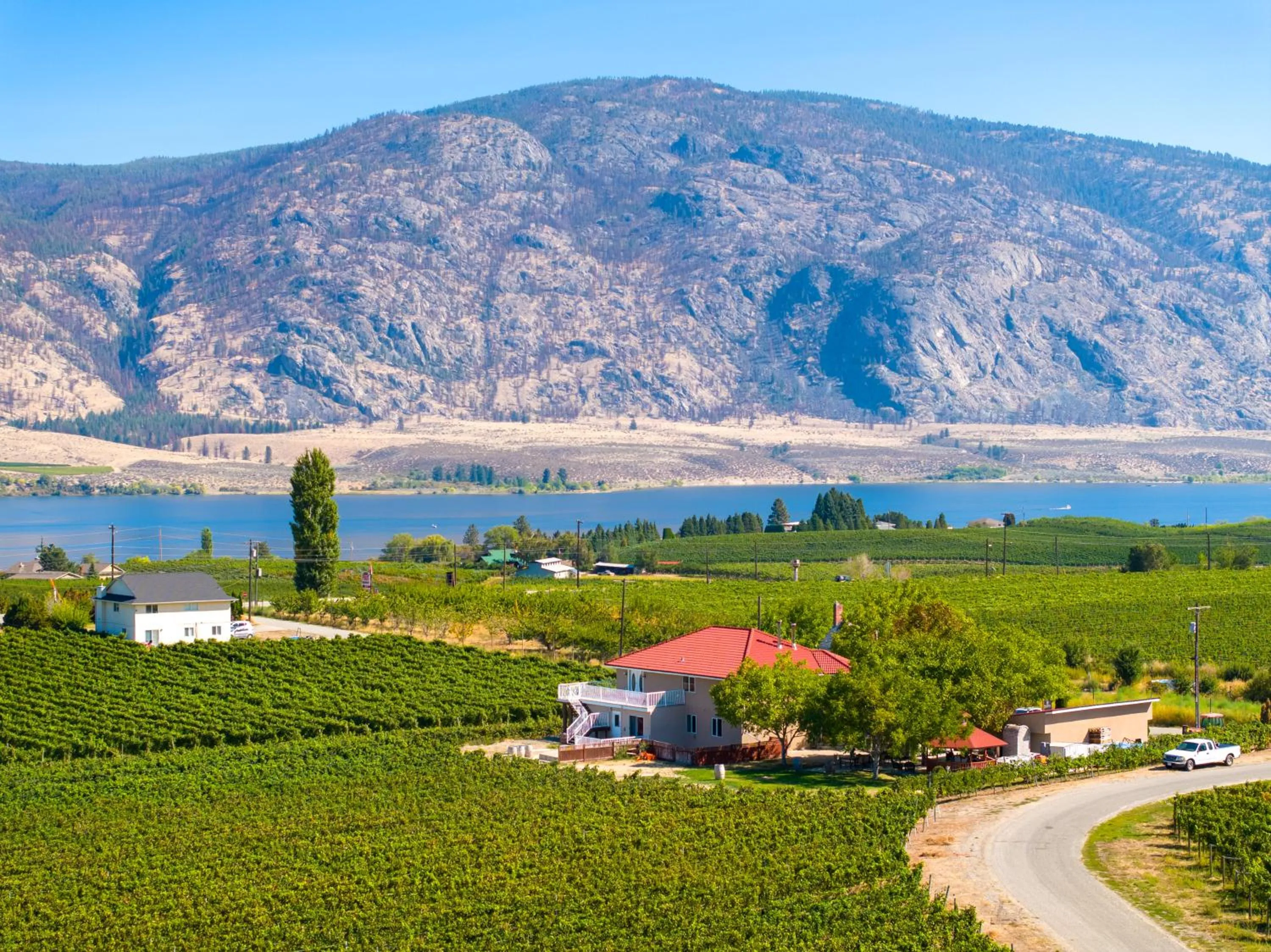 Hiking in Sonora Desert Inn