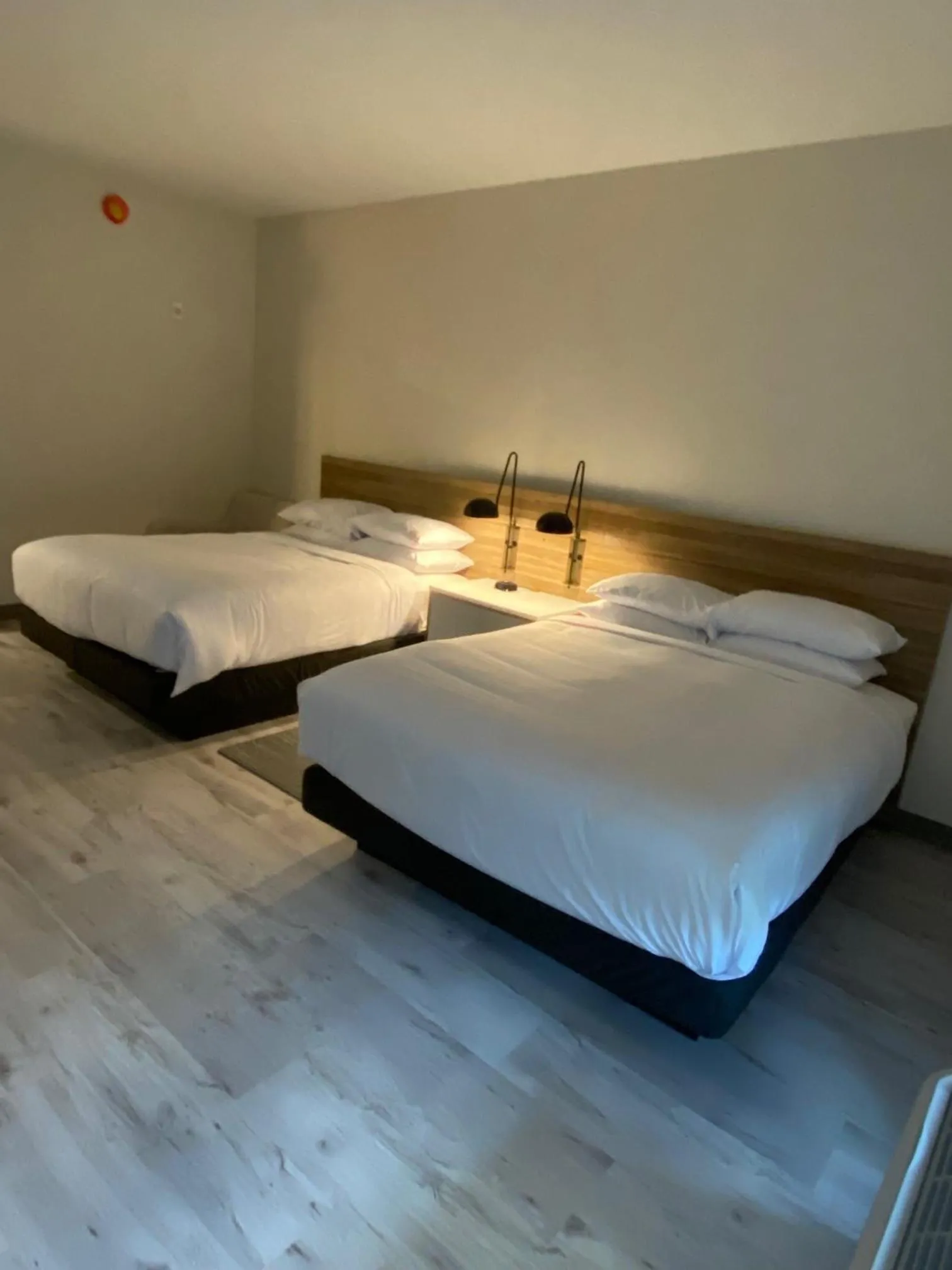 Photo of the whole room, Bed in Wyndham Garden Orlando Airport - Free Airport Shuttle