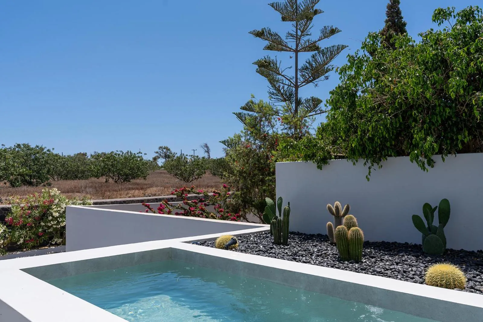 Hot Tub in Lilium Homes