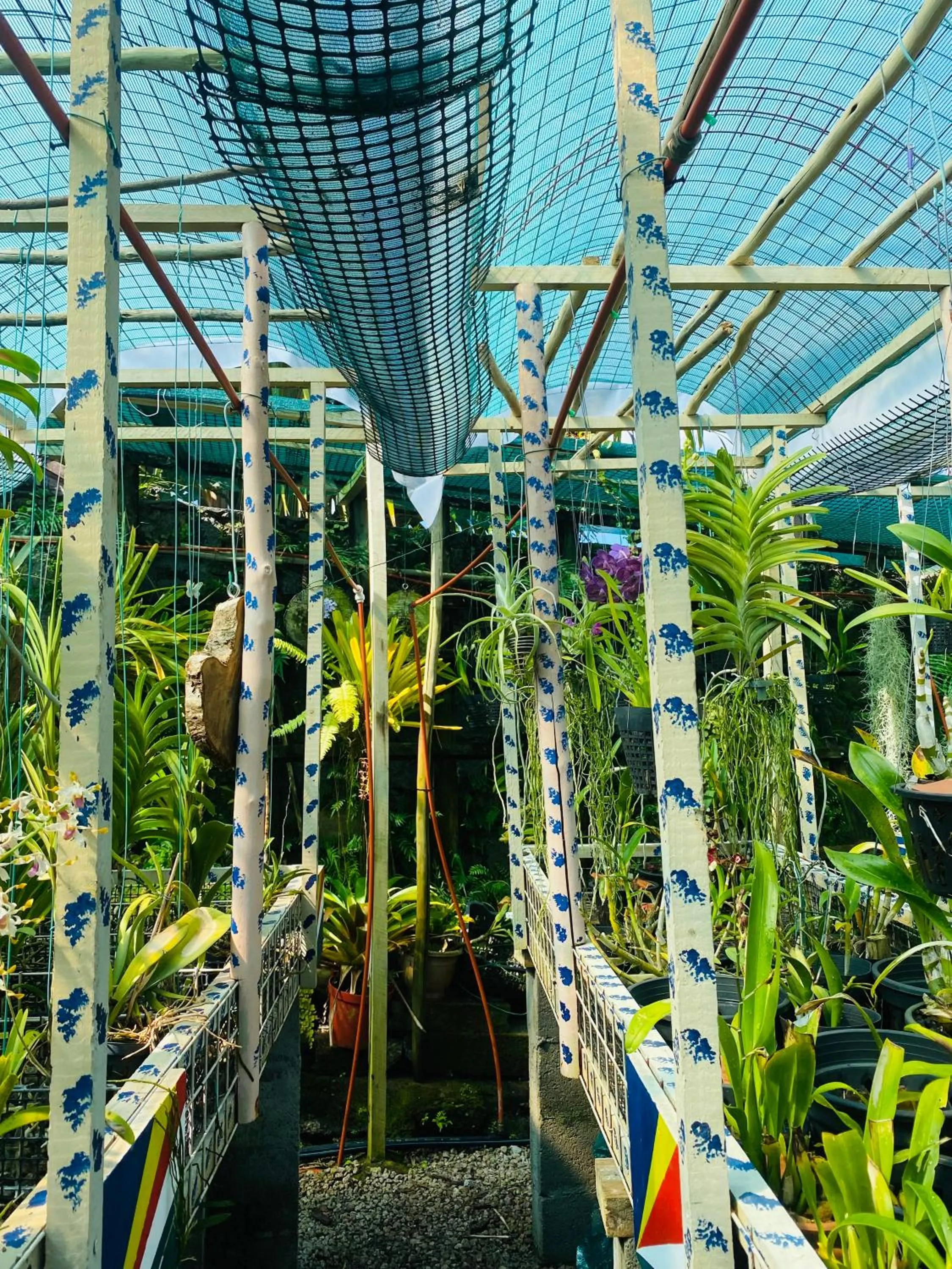 Day in Anse Norwa Self Catering