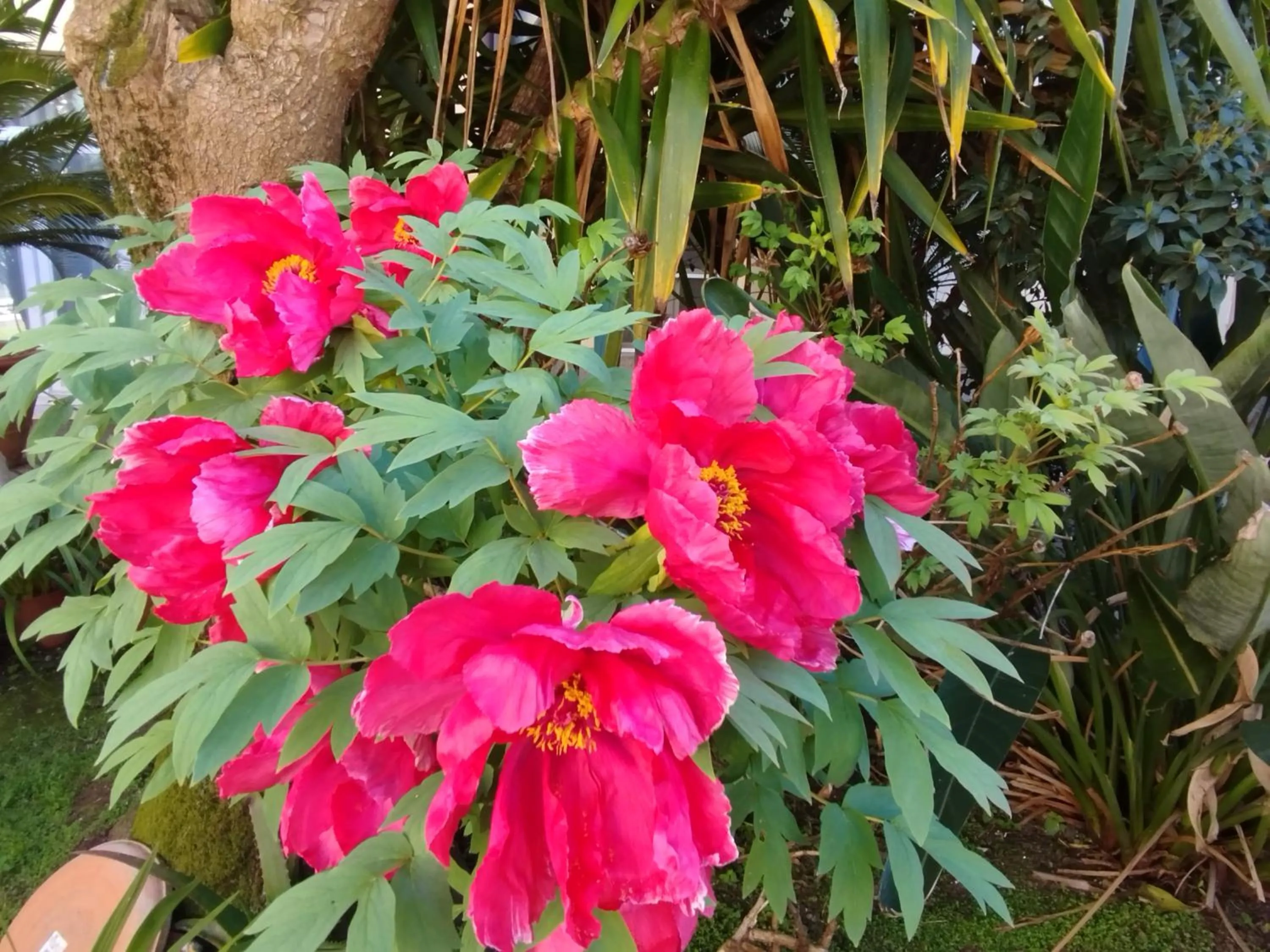 Day in Casa per ferie religiosa Figlie di Nazareth