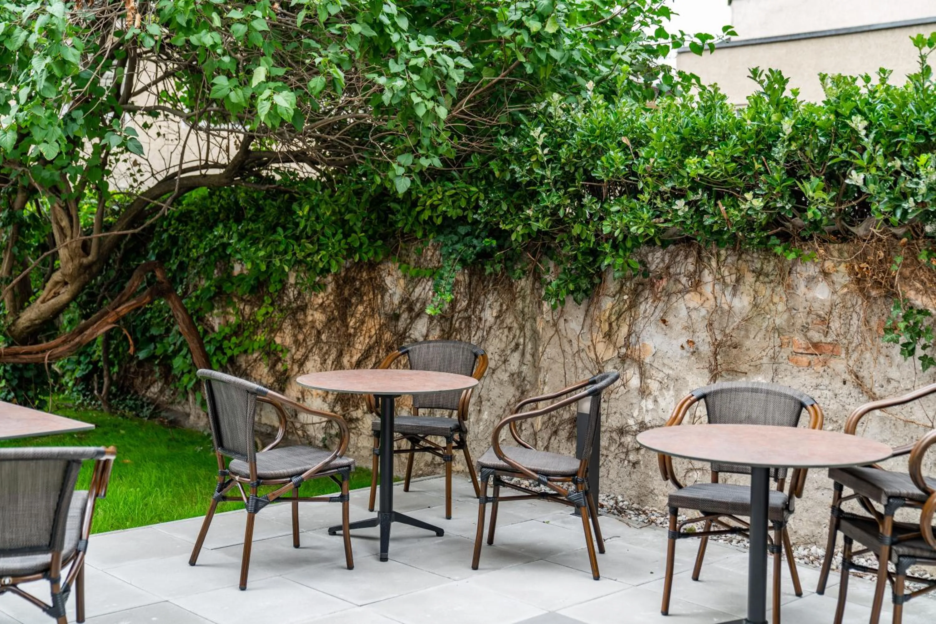 Patio in Villa Elisa