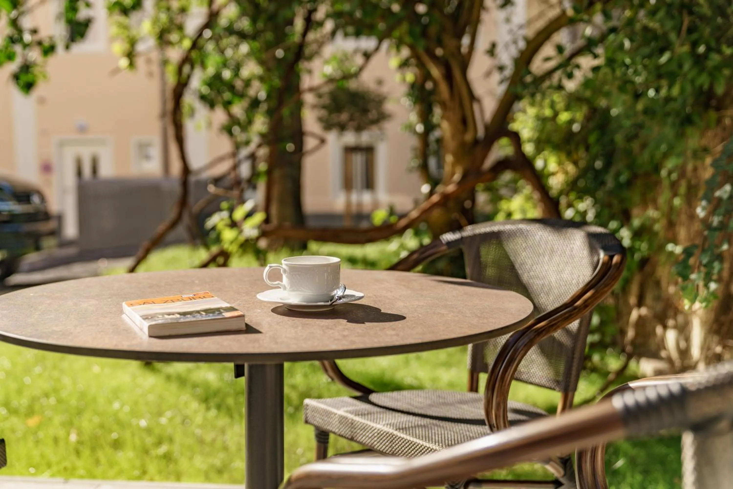 Balcony/Terrace in Villa Elisa