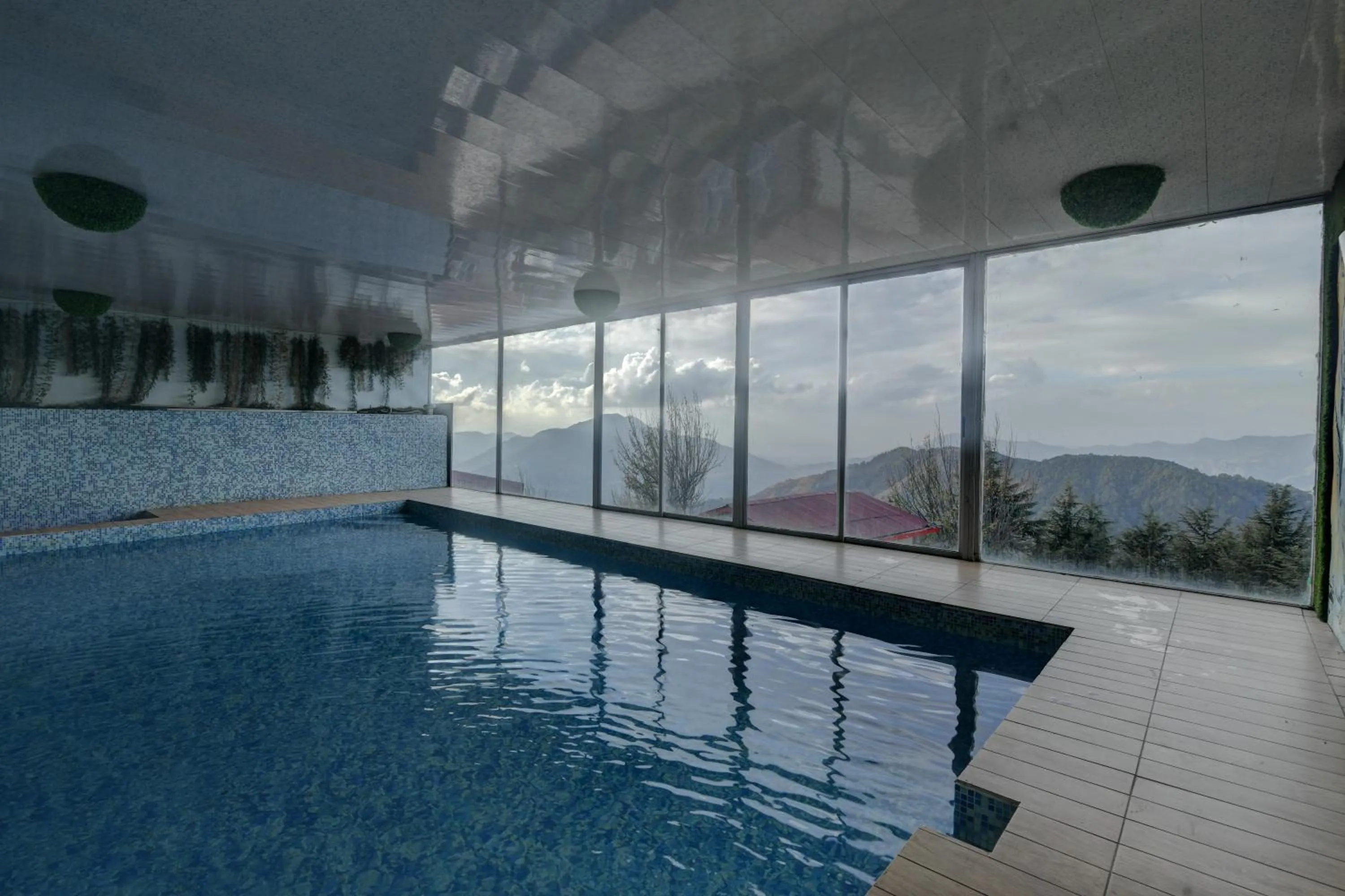 Swimming pool in Tarika Resort & Spa , Chail