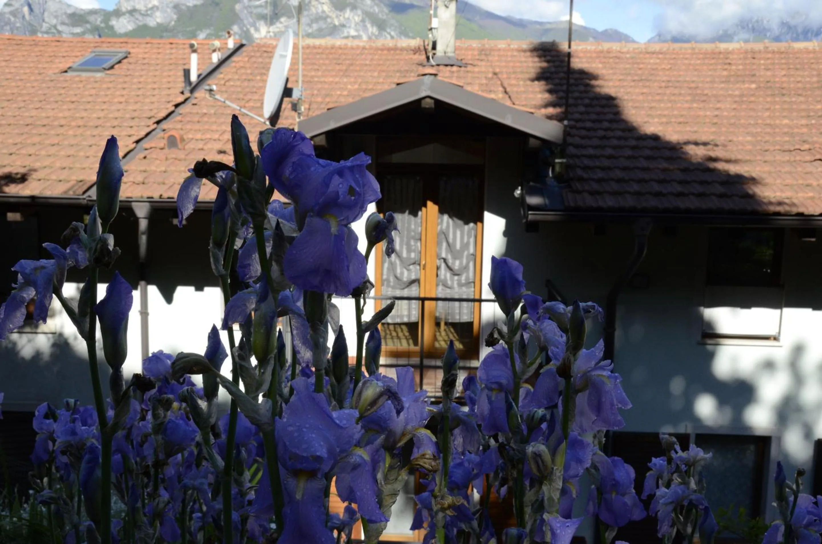 Property building in Appartamento Al Forte