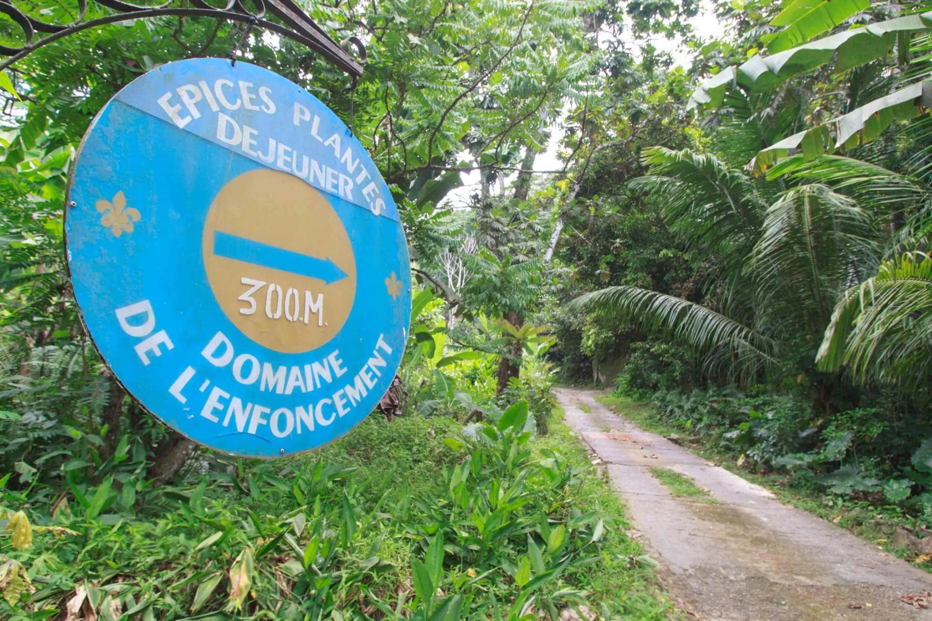 Area and facilities in Coco Blanche