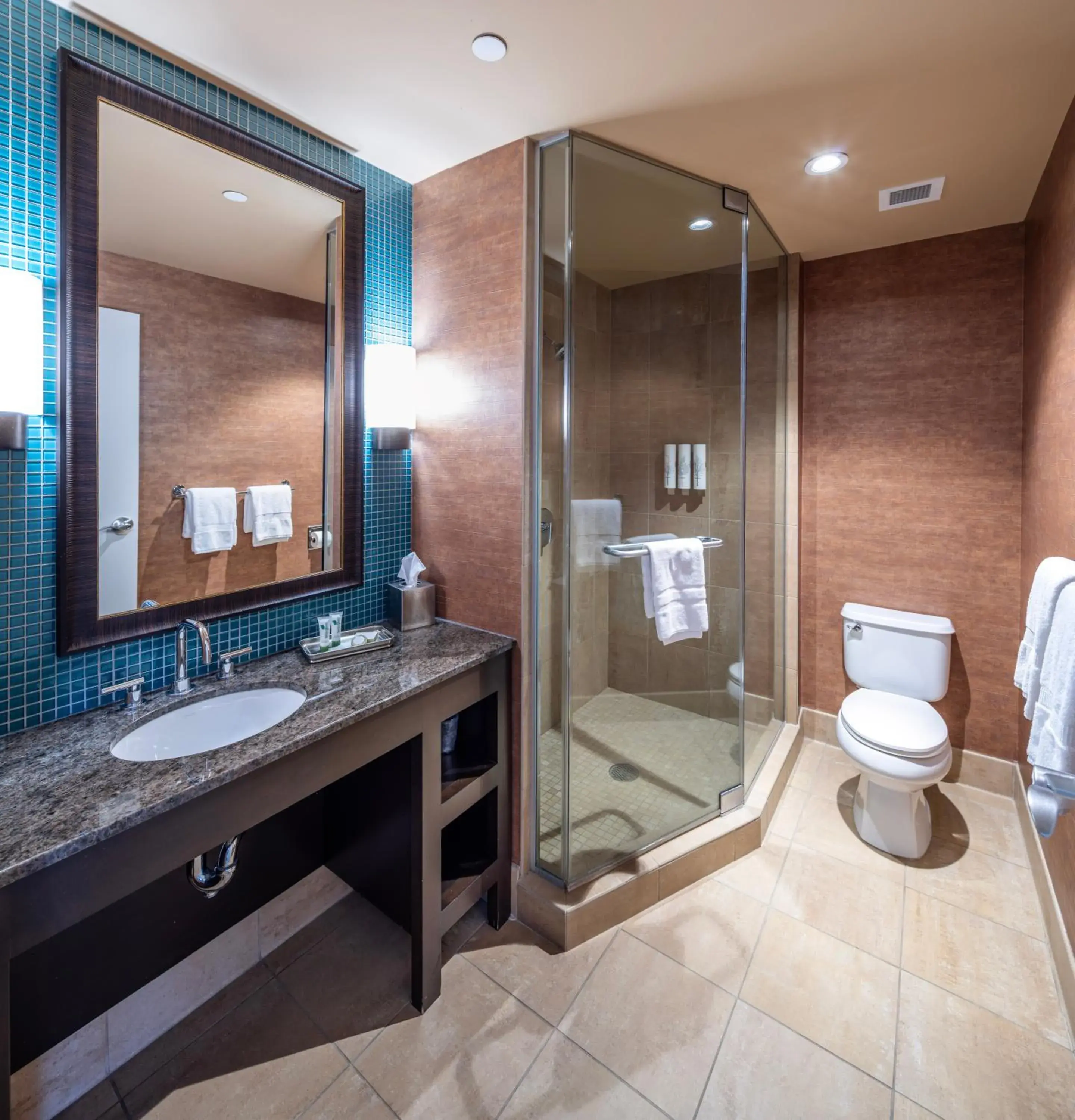 Bathroom in Akwesasne Mohawk Casino Resort and Players Inn Hotel -formerly Comfort Inn and Suites Hogansburg NY Bathroom in Akwesasne Mohawk Casino Resort and Players Inn Hotel -formerly Comfort Inn and Suites Hogansburg NY