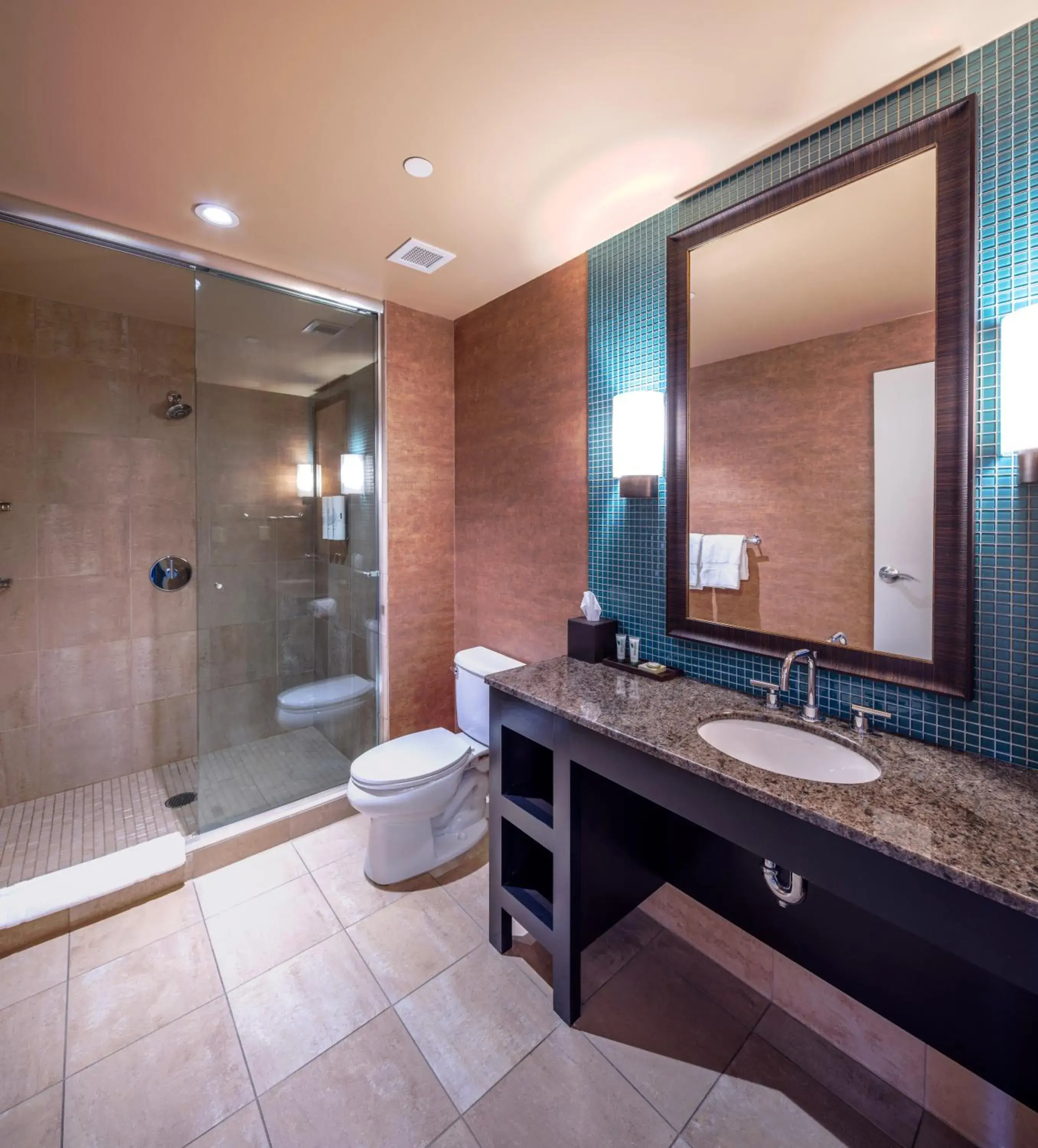 Bathroom in Akwesasne Mohawk Casino Resort and Players Inn Hotel -formerly Comfort Inn and Suites Hogansburg NY Bathroom in Akwesasne Mohawk Casino Resort and Players Inn Hotel -formerly Comfort Inn and Suites Hogansburg NY