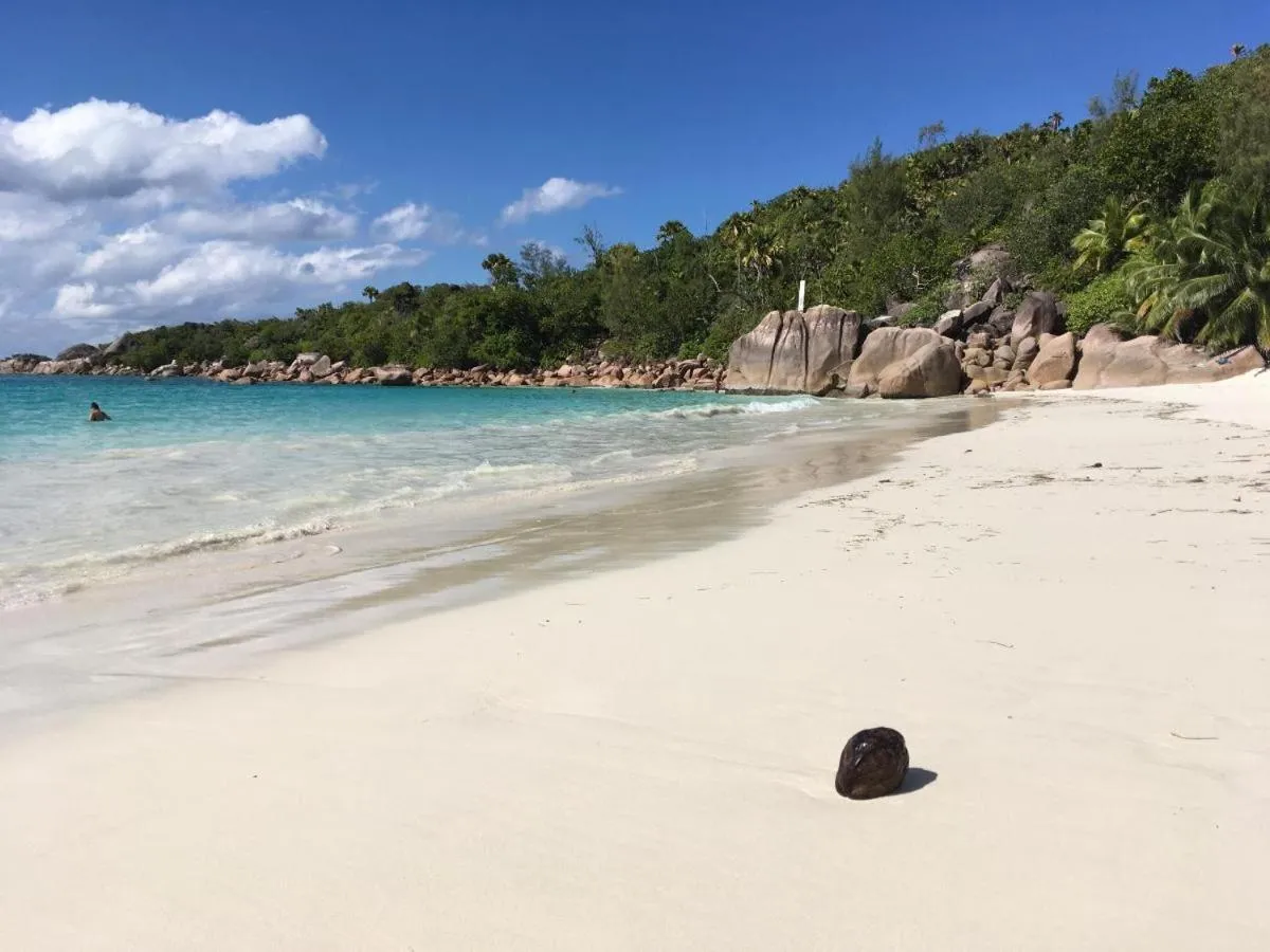 Nearby landmark in Villa Rafia