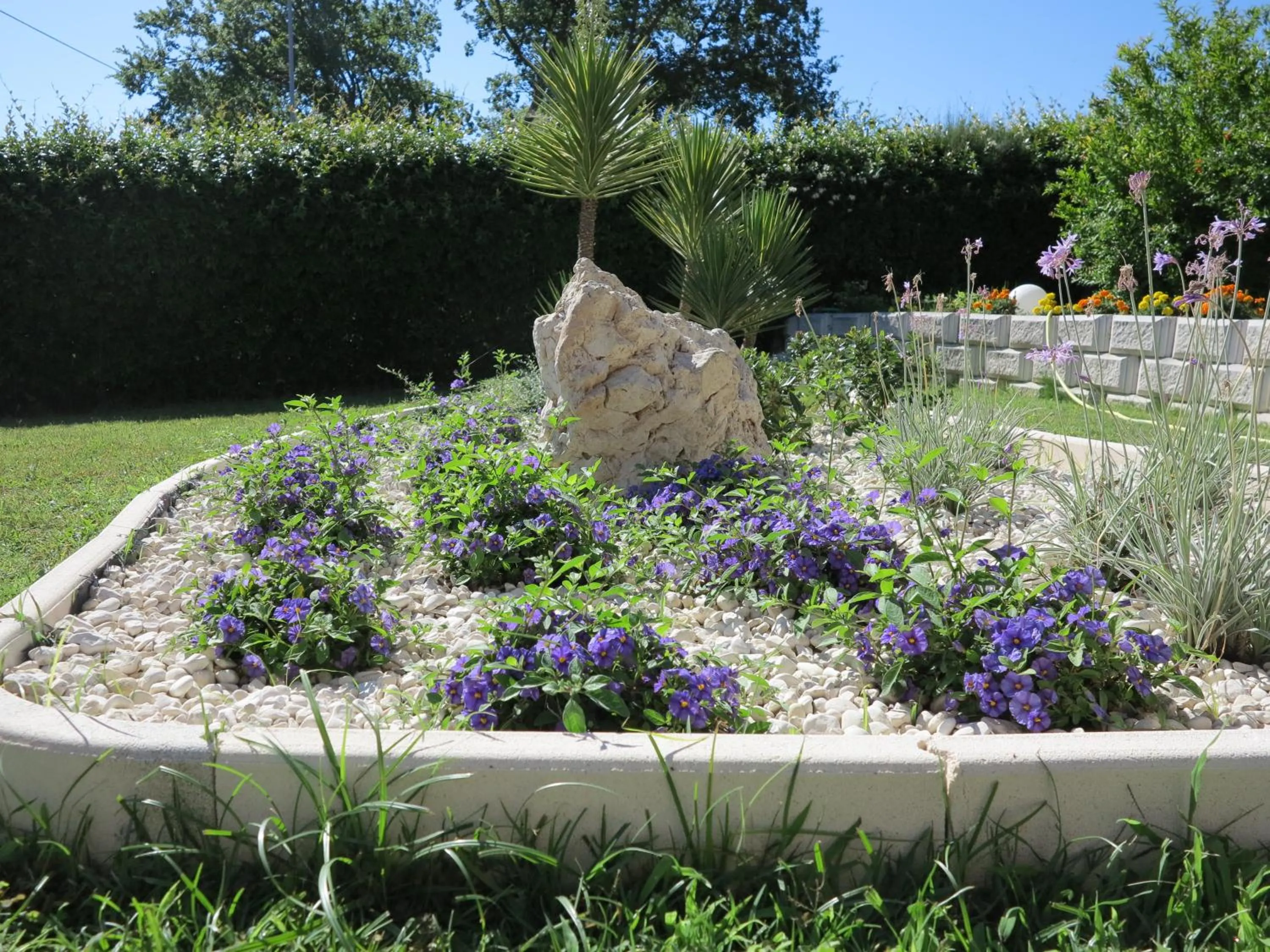 Garden in il Riccio B&B