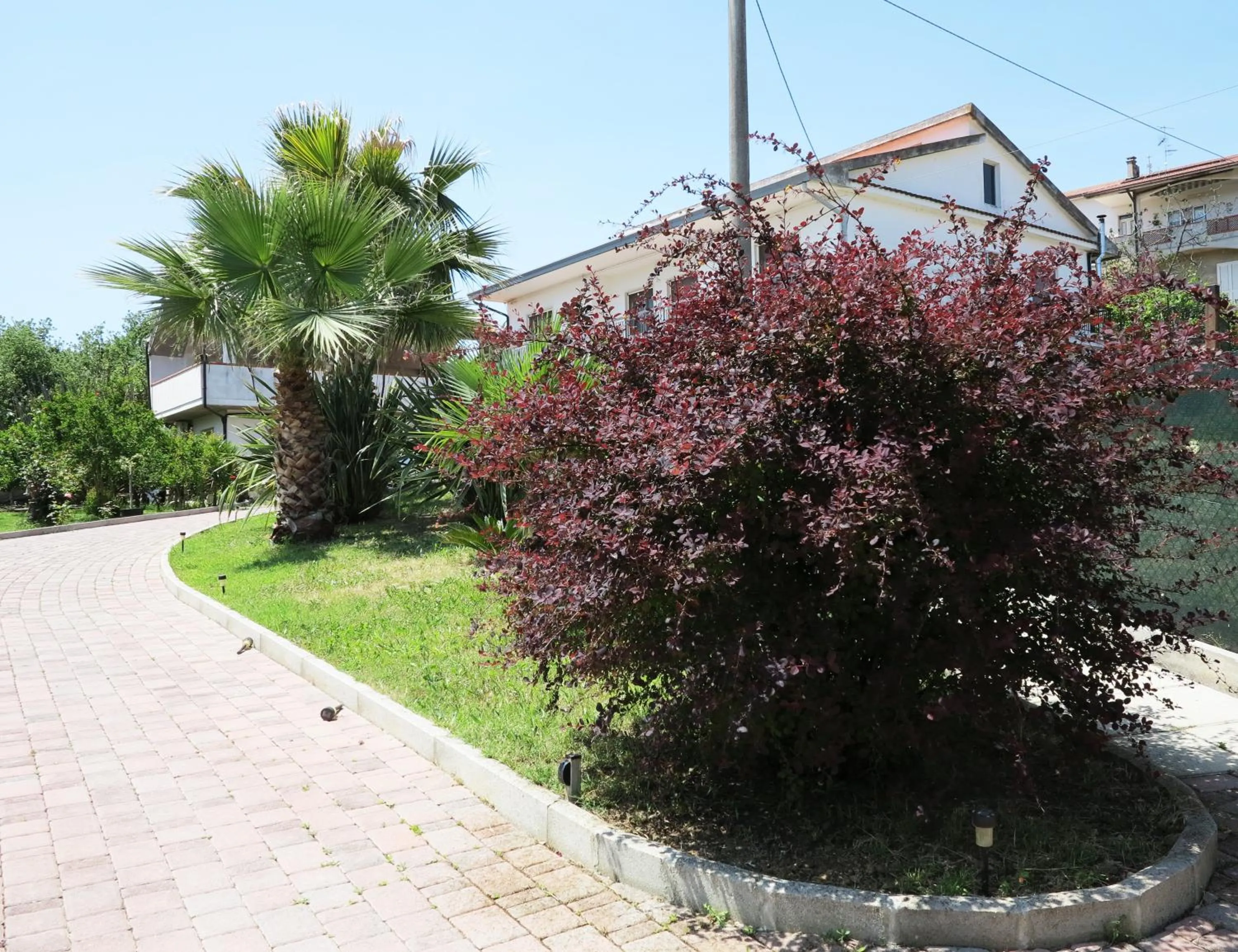 Garden in il Riccio B&B