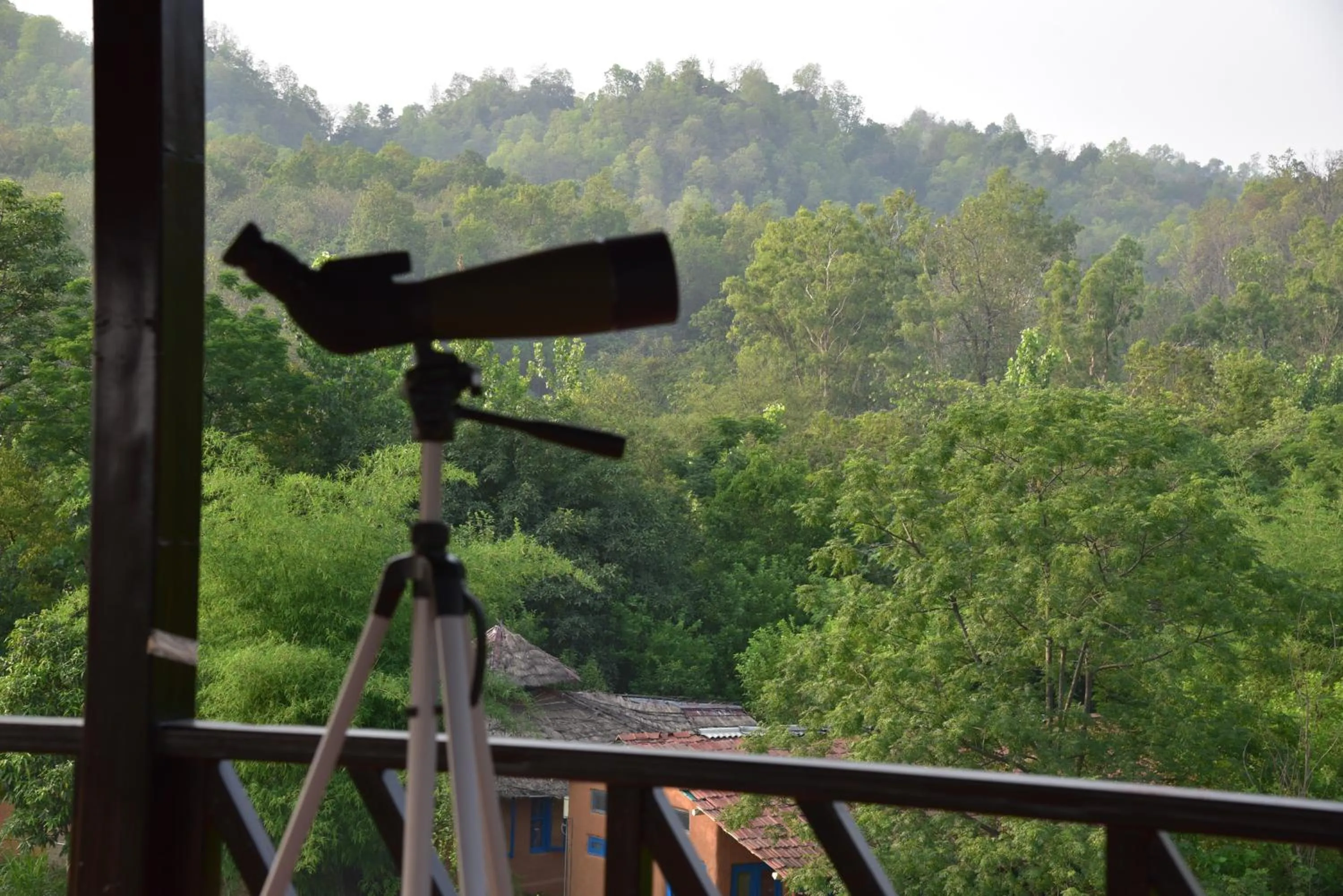 Activities in Tree of Life Vanvilas Riveredge Corbett