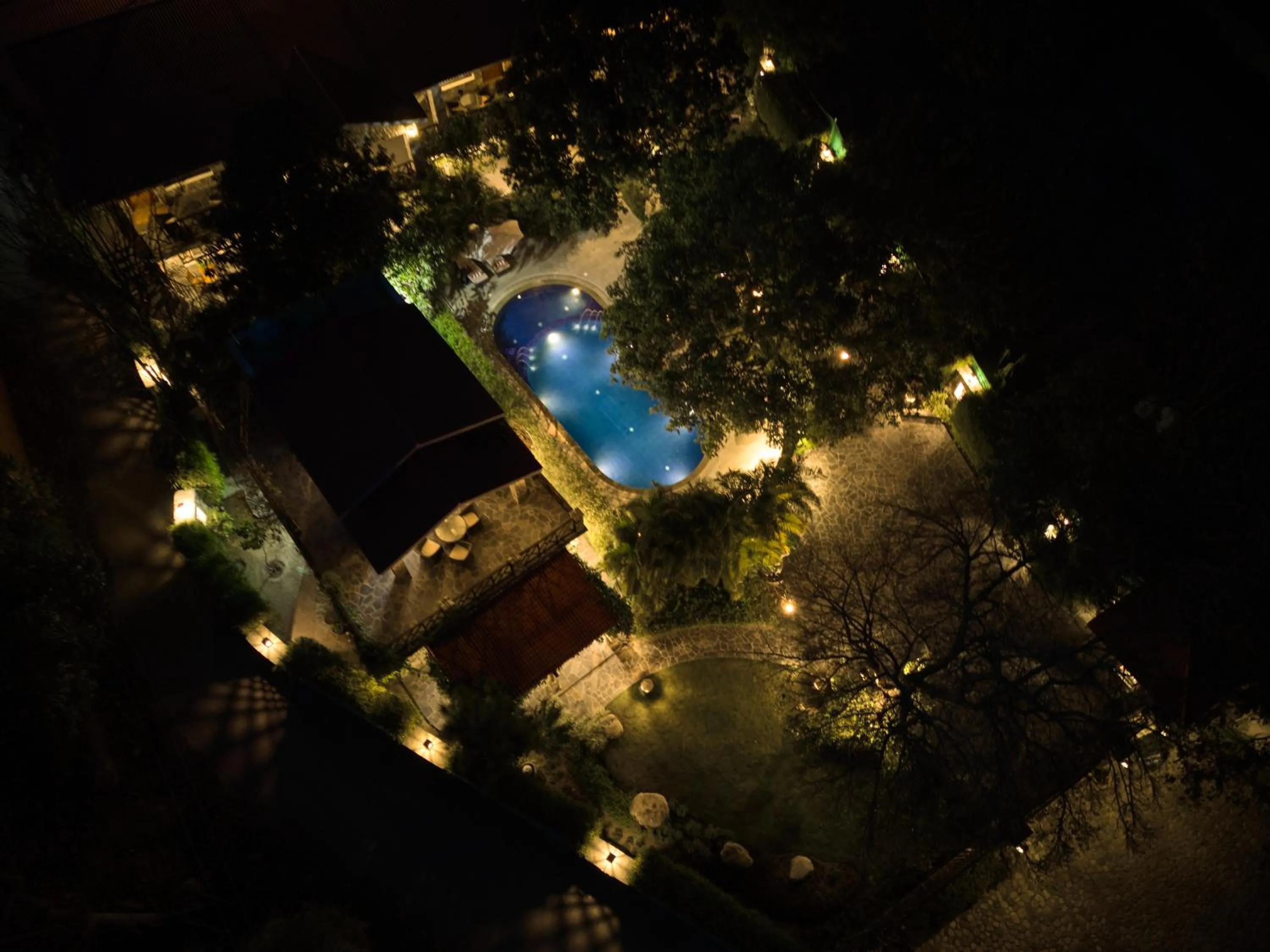 Pool view in Tree of Life Vanvilas Riveredge Corbett