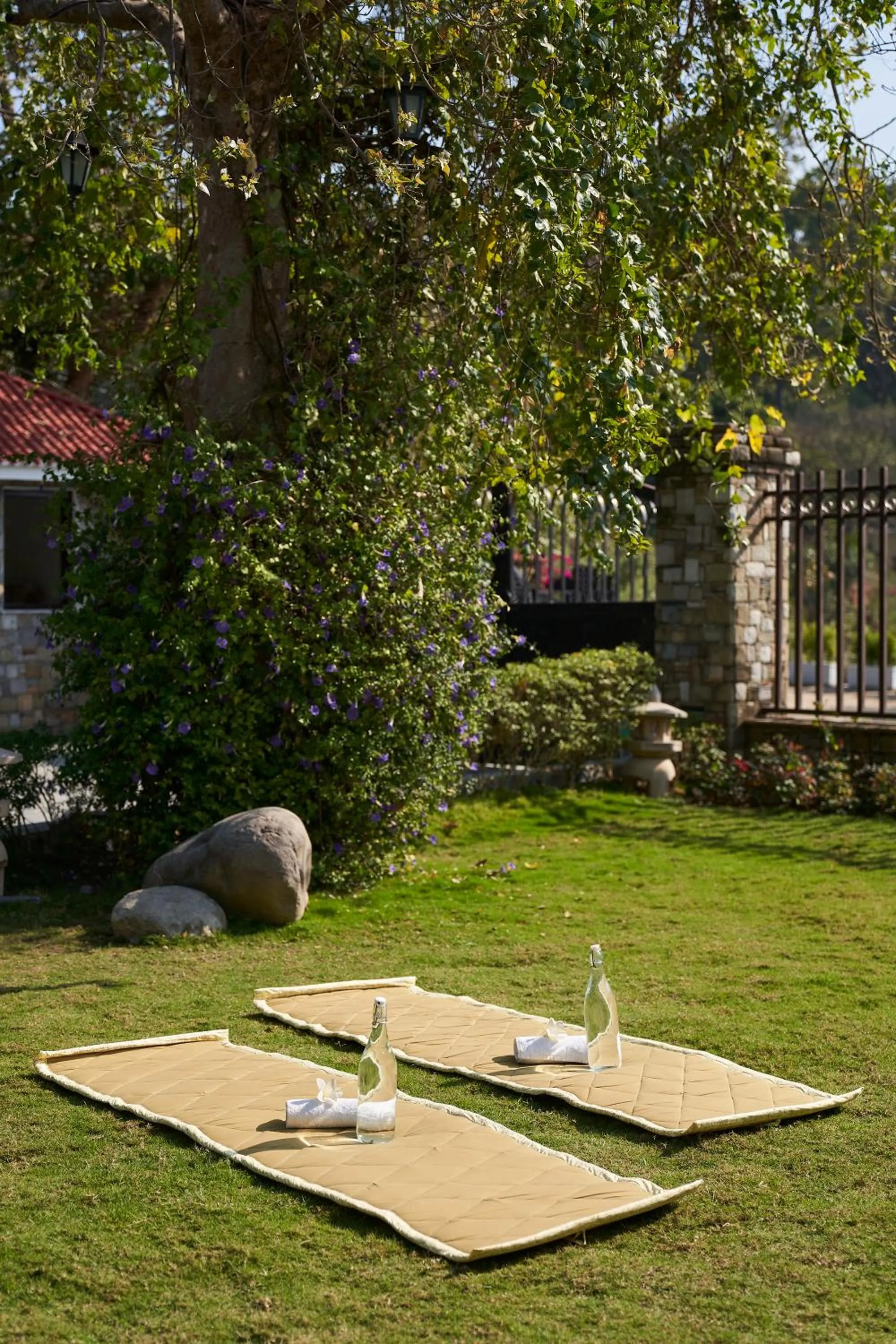 Activities in Tree of Life Vanvilas Riveredge Corbett