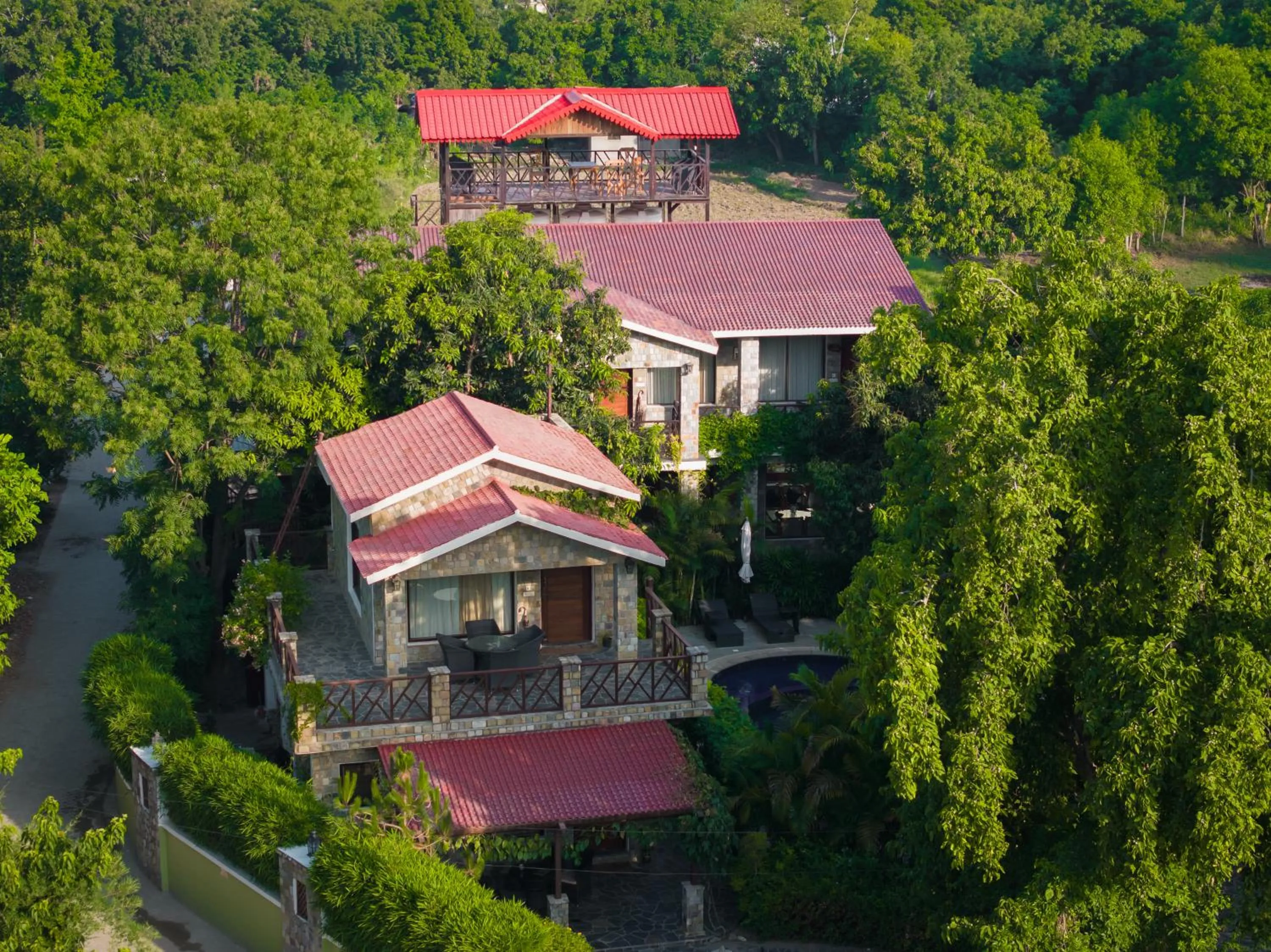 Bird's eye view in Tree of Life Vanvilas Riveredge Corbett