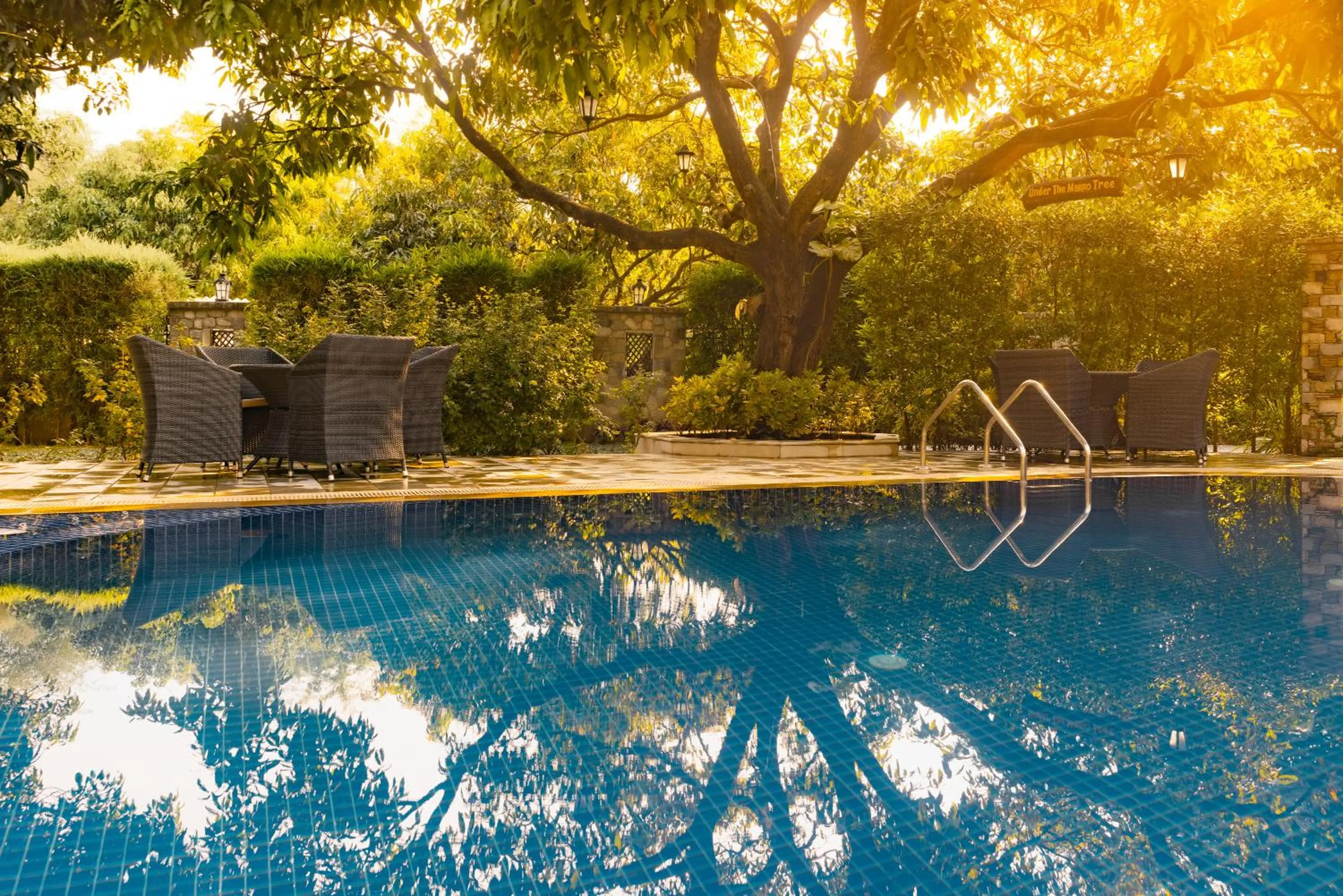 Swimming pool in Tree of Life Vanvilas Riveredge Corbett
