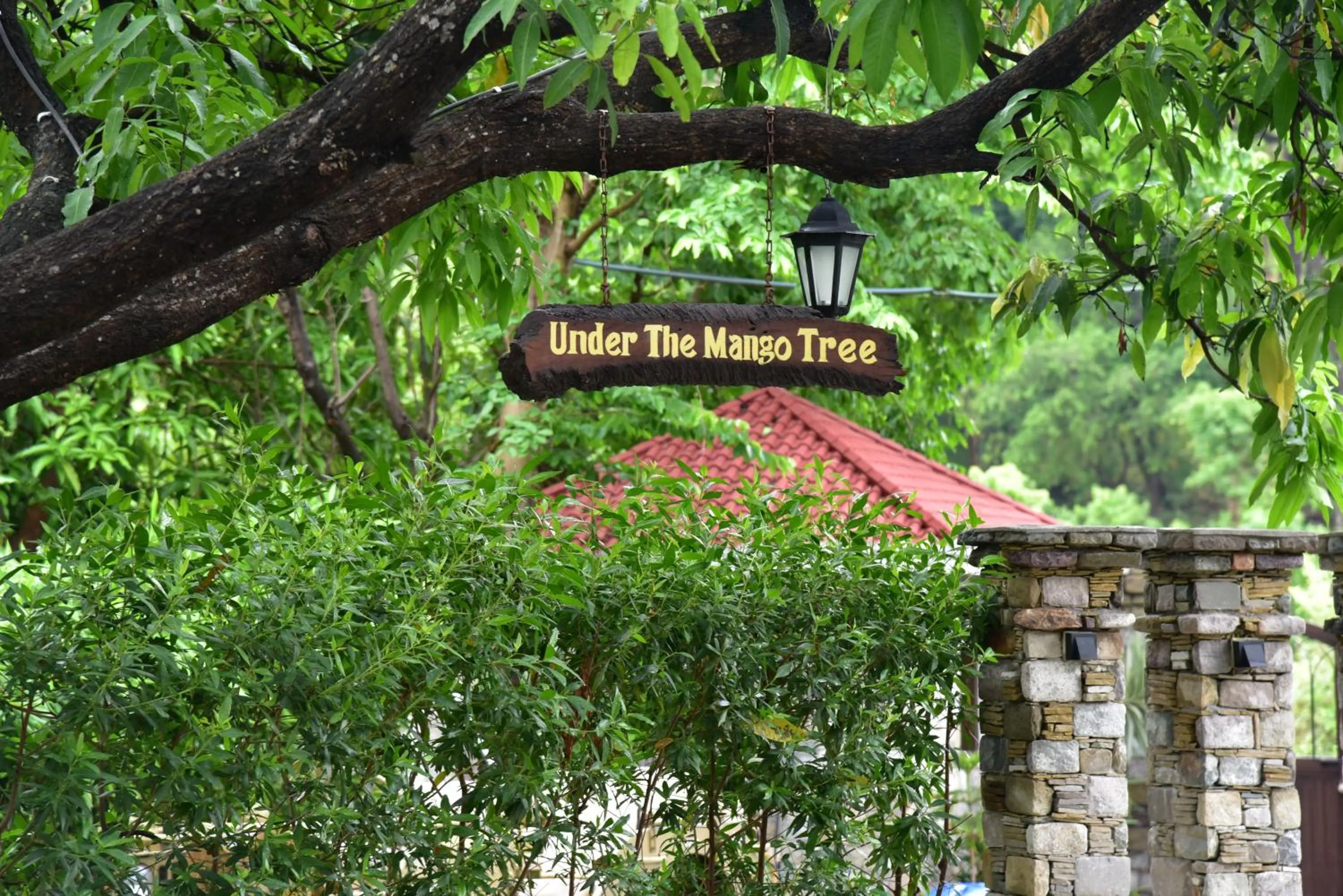 Garden in Tree of Life Vanvilas Riveredge Corbett