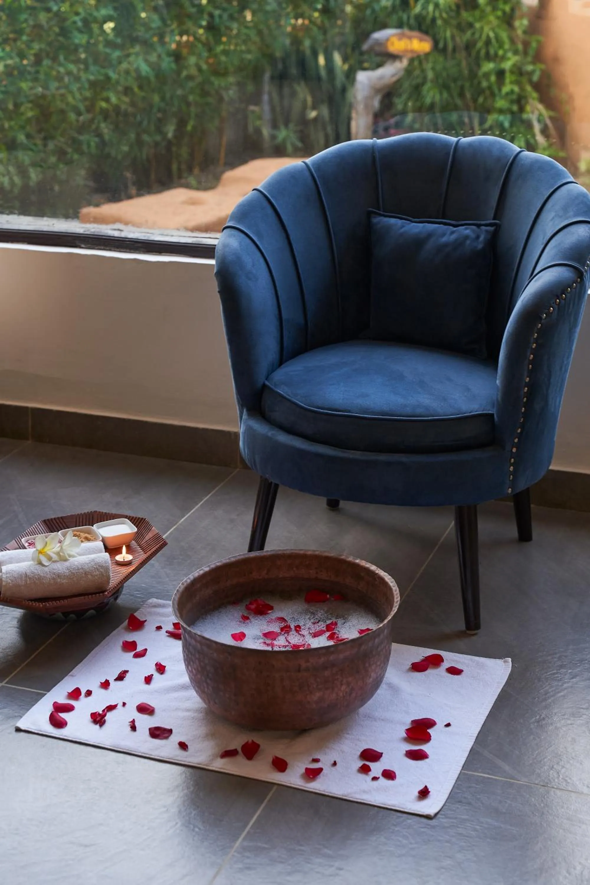 Activities in Tree of Life Vanvilas Riveredge Corbett