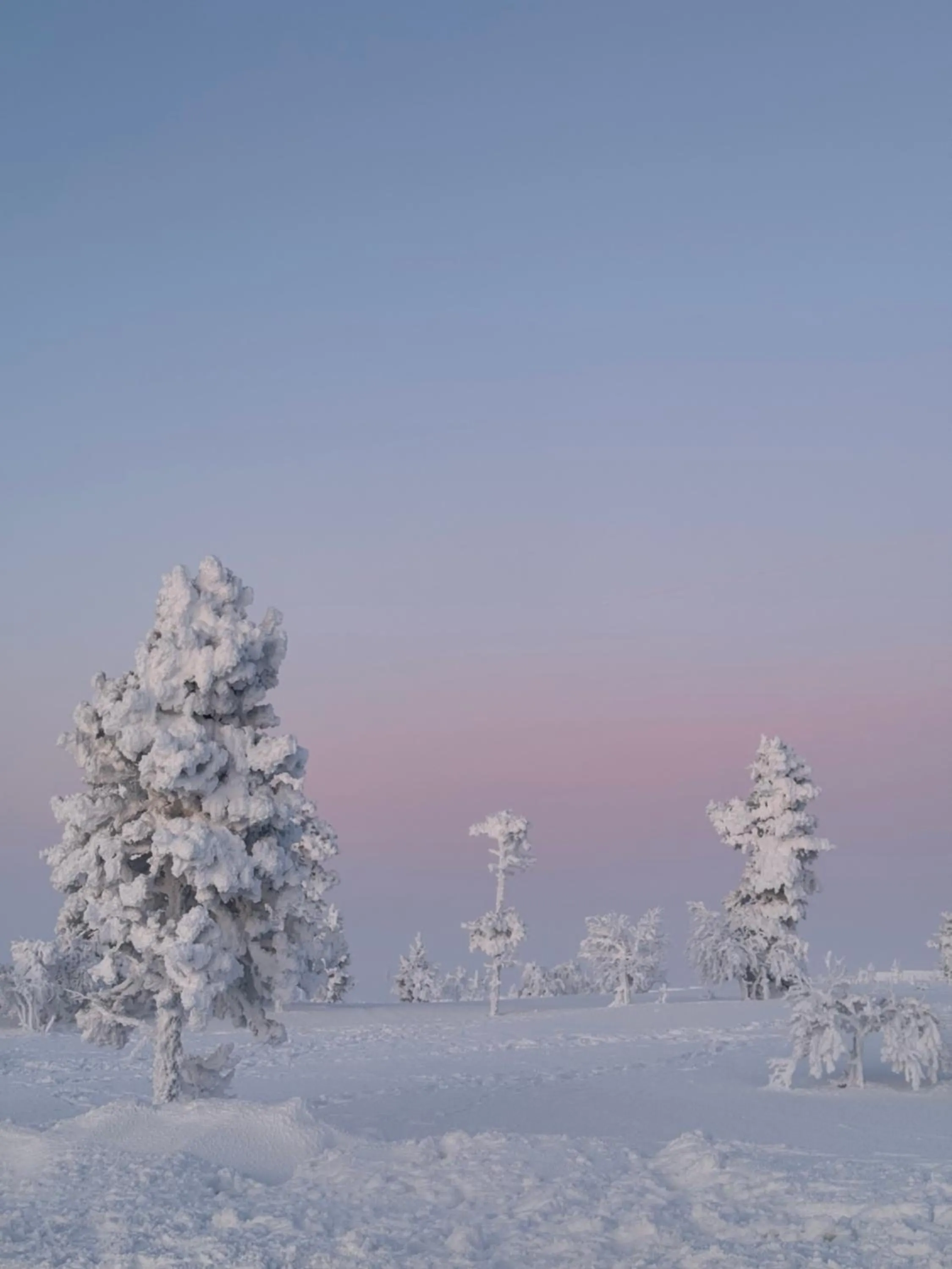 Day in Aurora Queen Resort Igloos