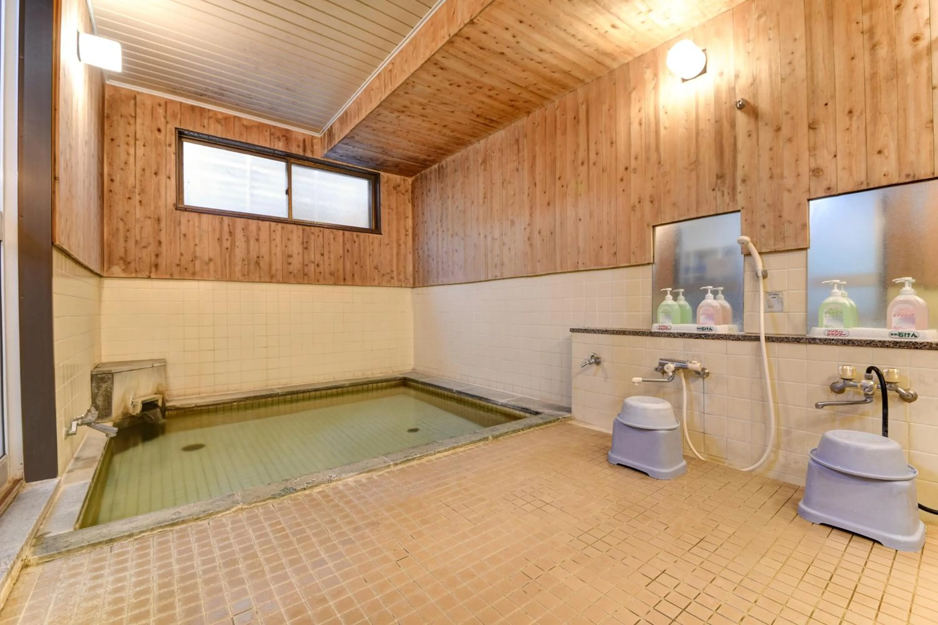 Hot Spring Bath in Hotel La Montagne Furuhata