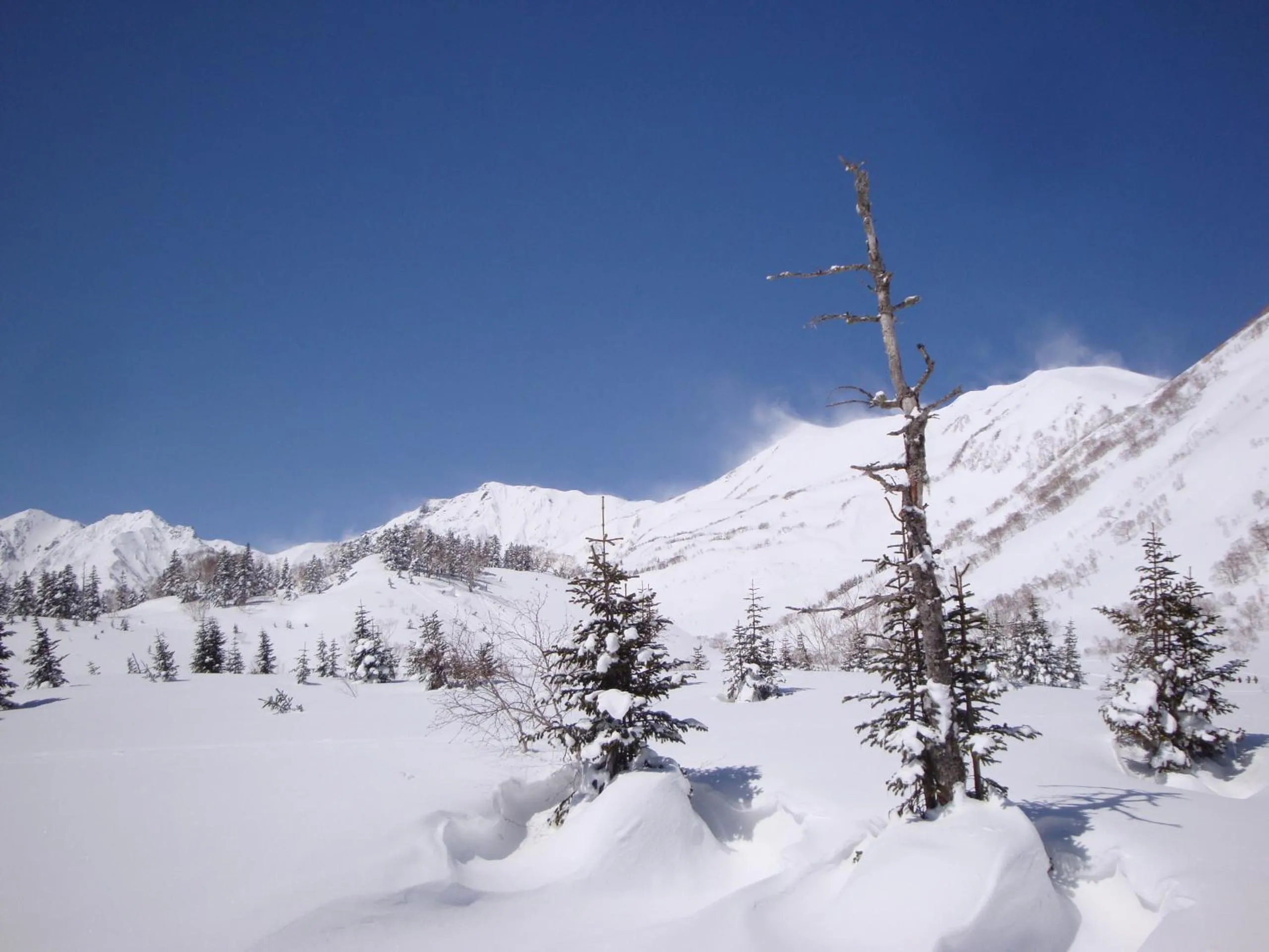 Hiking in Hotel La Montagne Furuhata