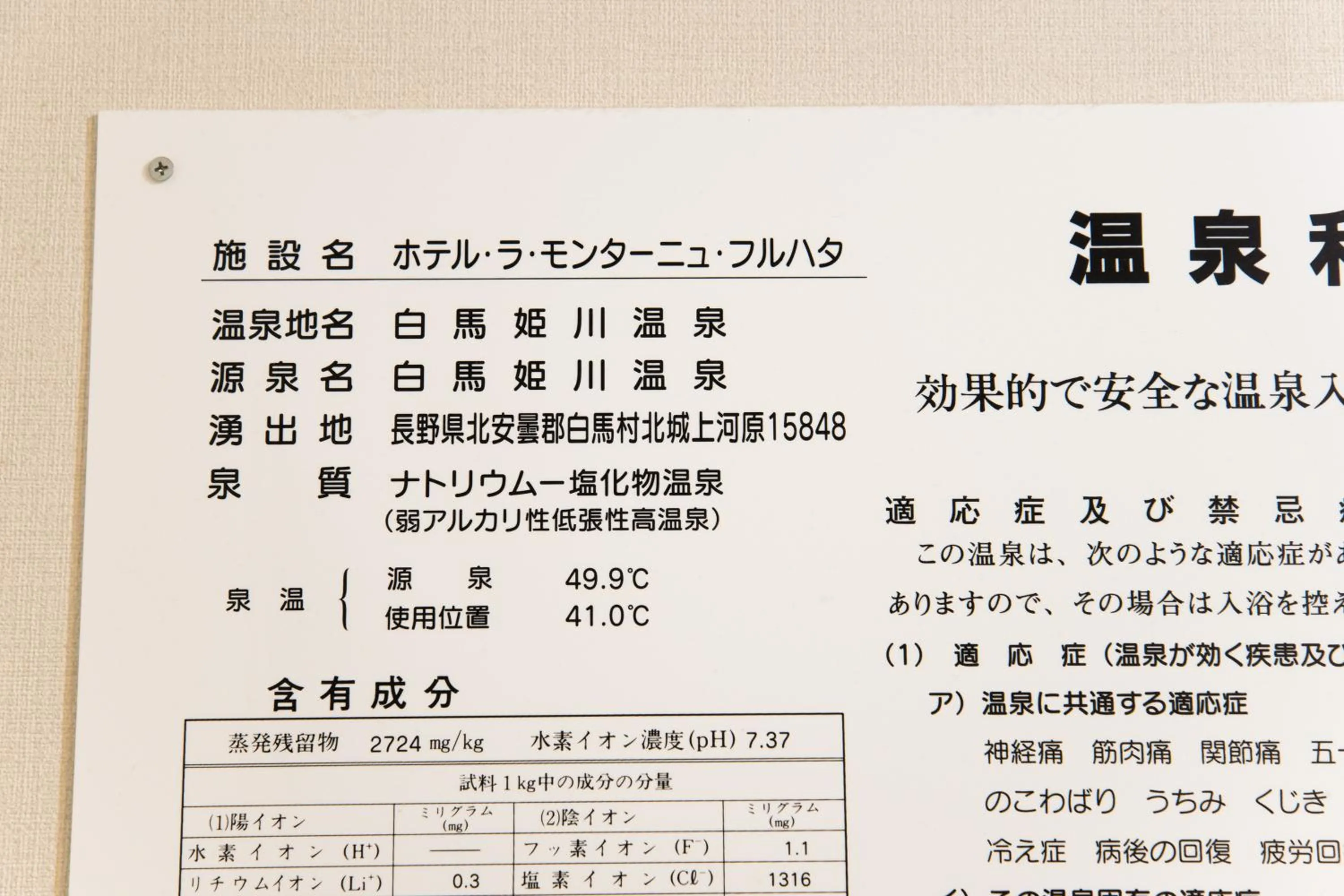 Hot Spring Bath in Hotel La Montagne Furuhata