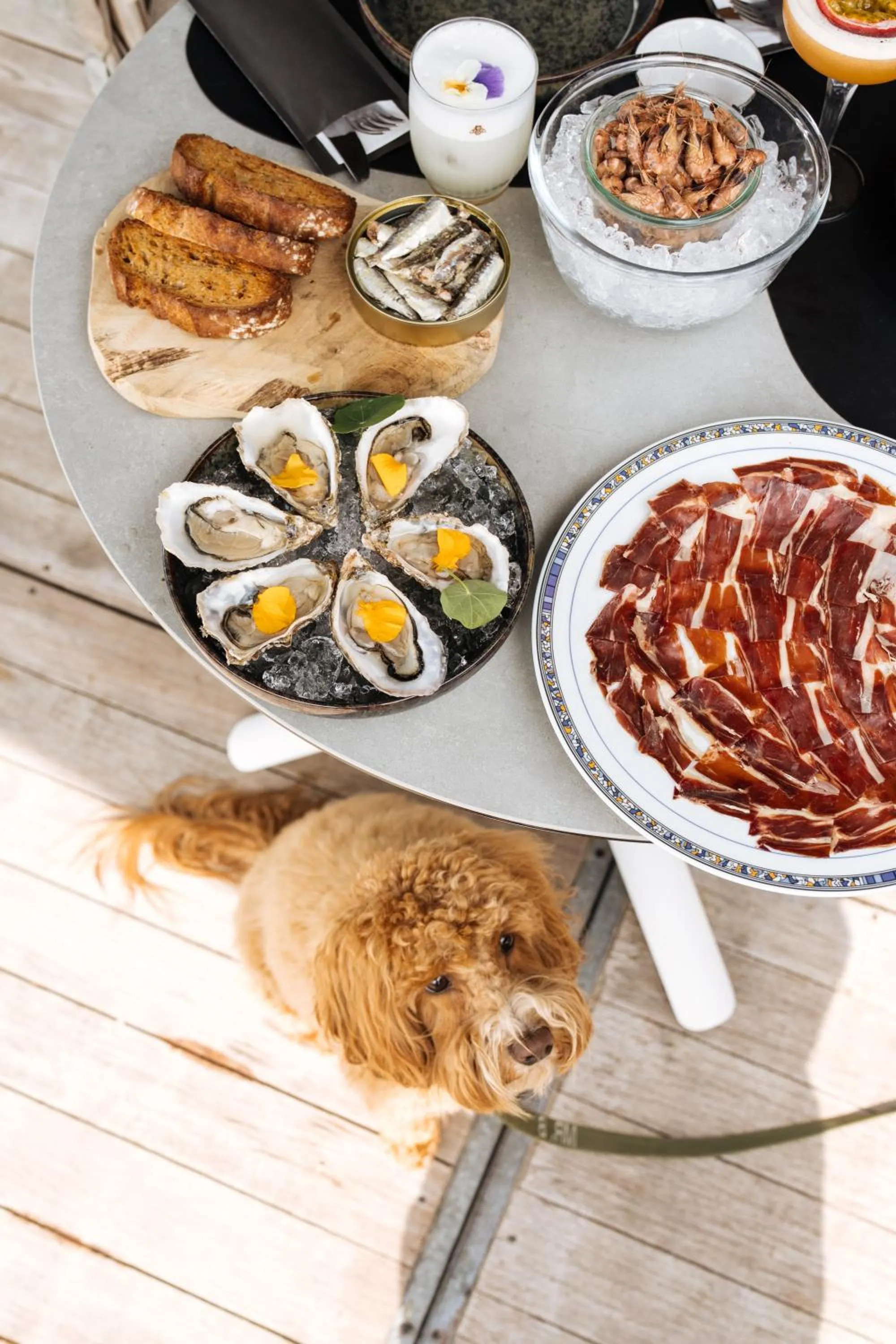 Lounge or bar in Boutique Hotel Azur