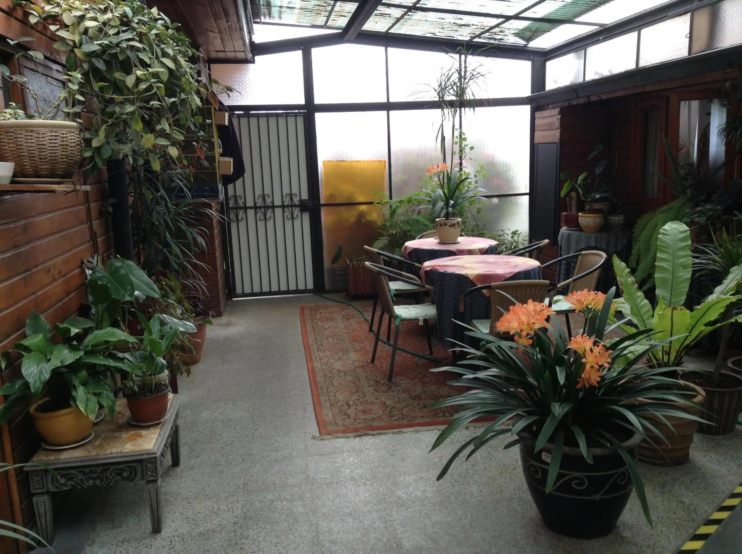 Patio in Hotel Luanco