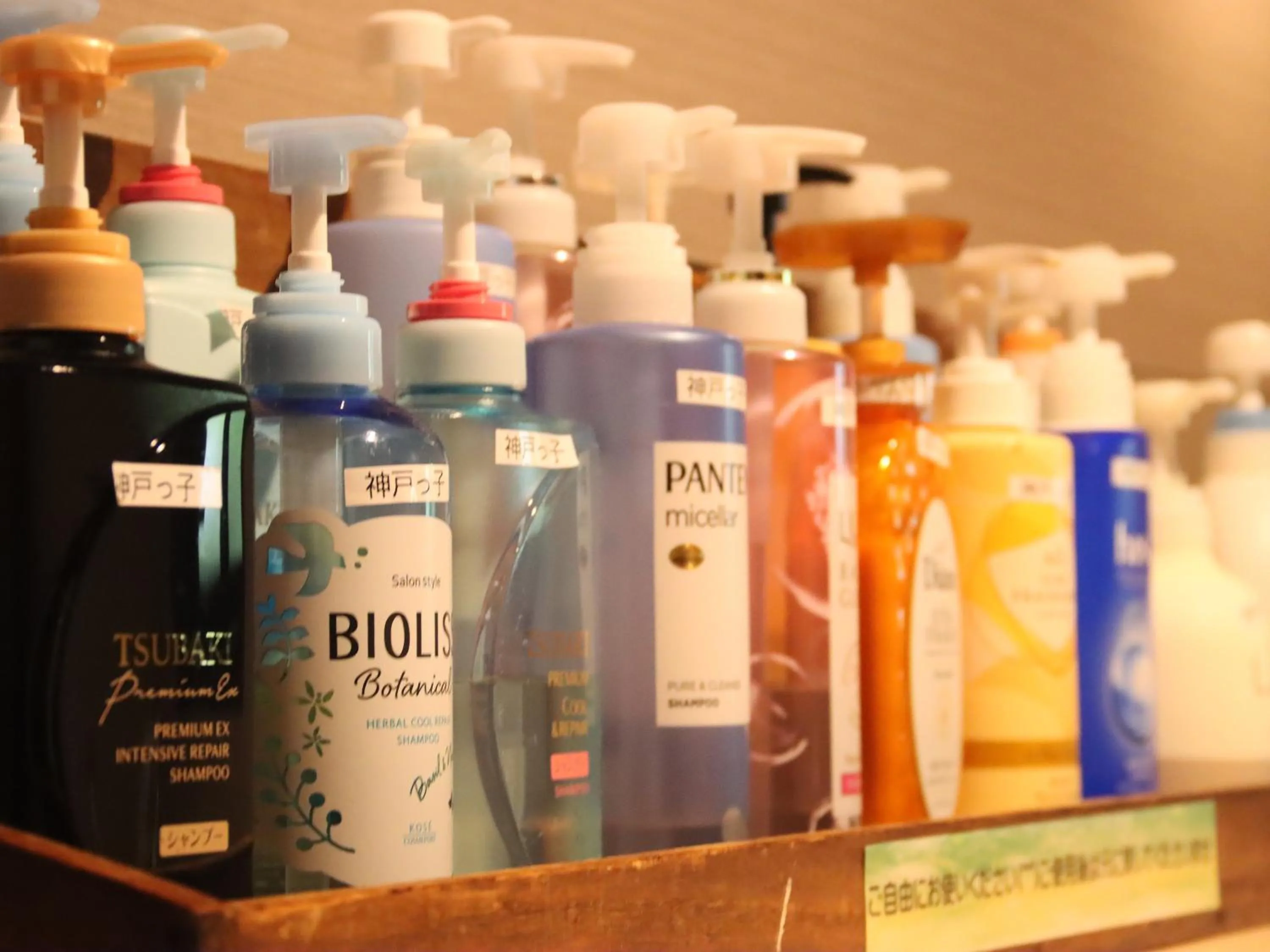 Area and facilities in Pension Kobekko