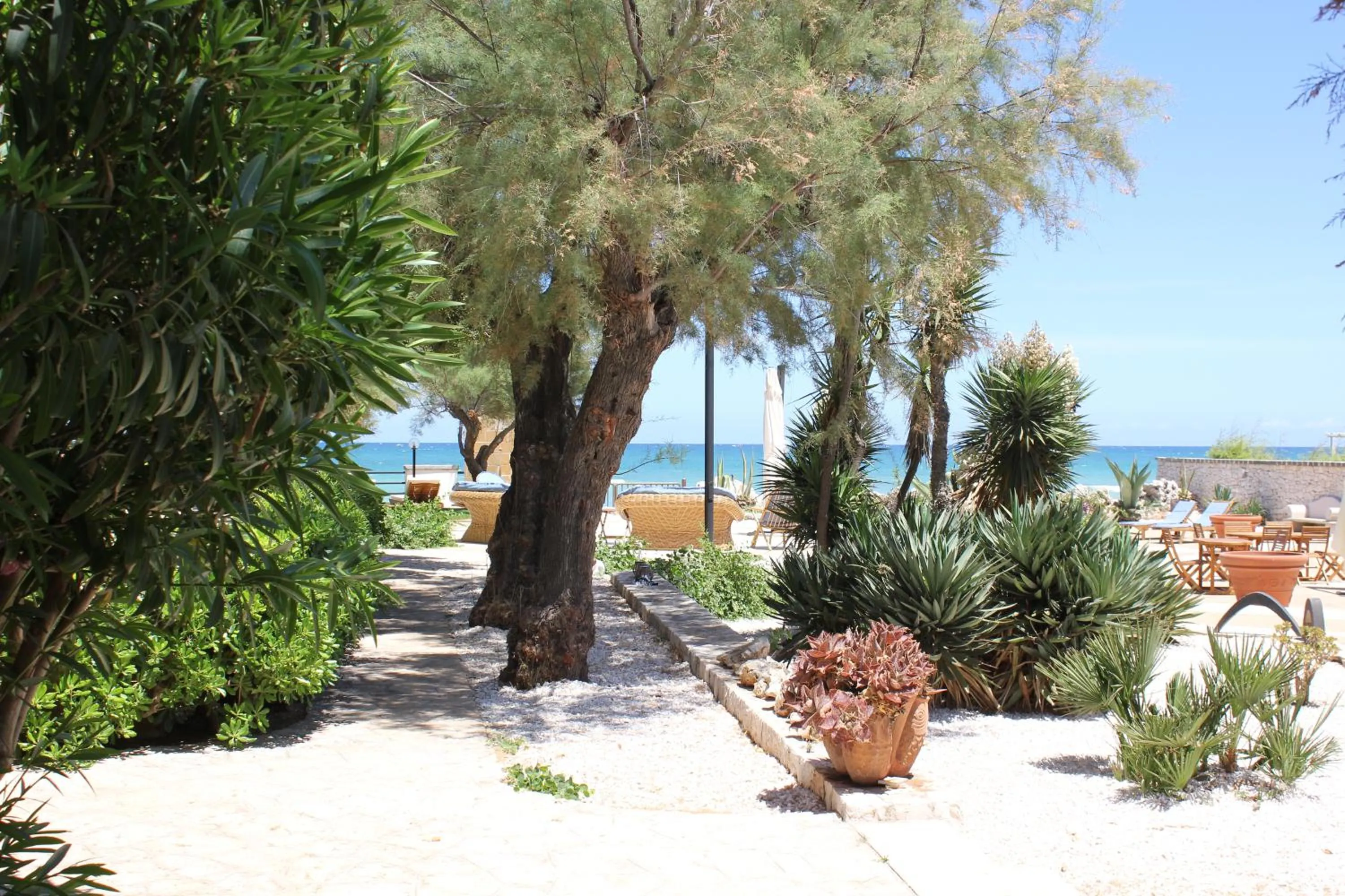 Garden in Aurelia Sea View