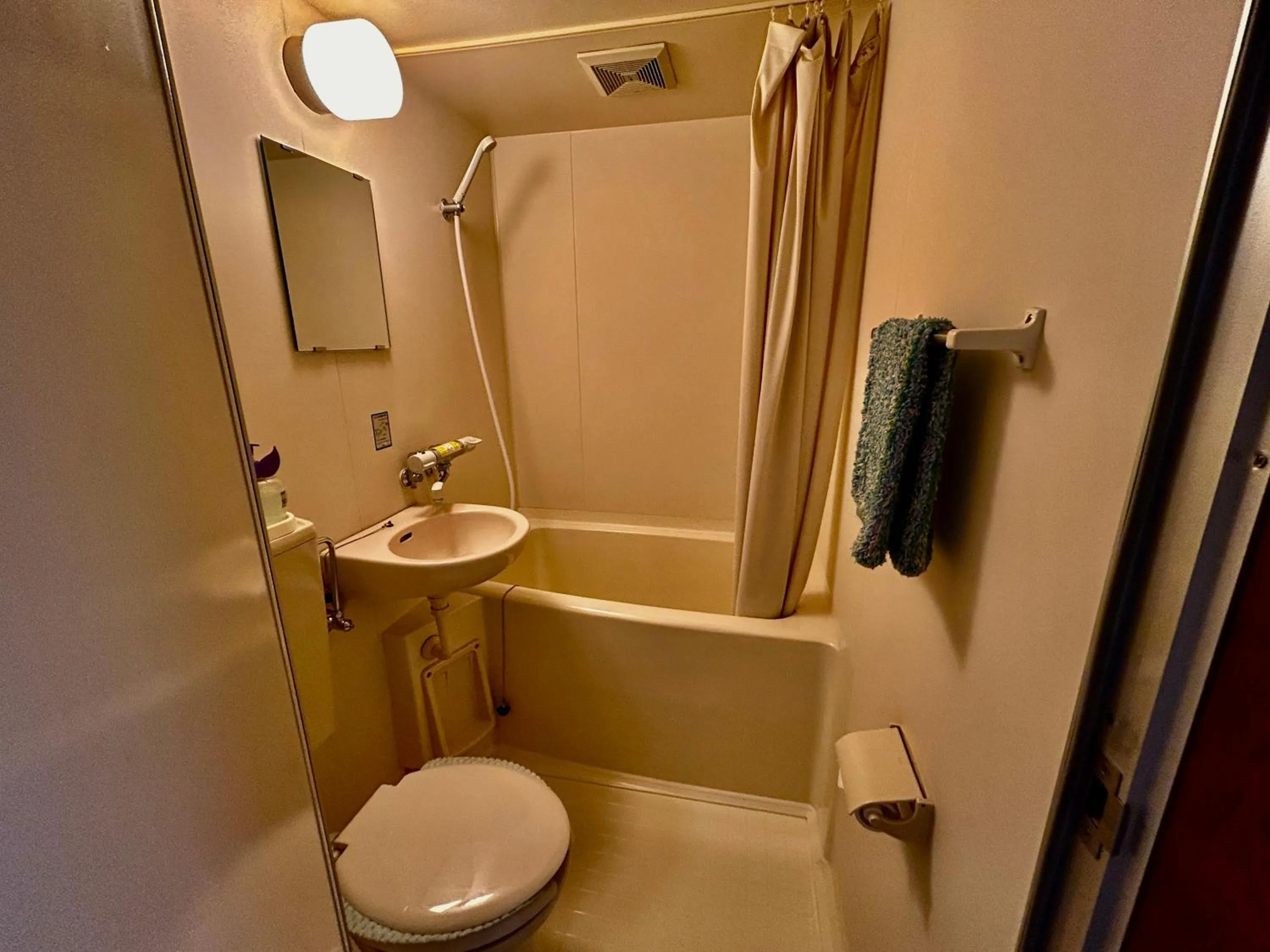 Shower in Hakuba King Hotel