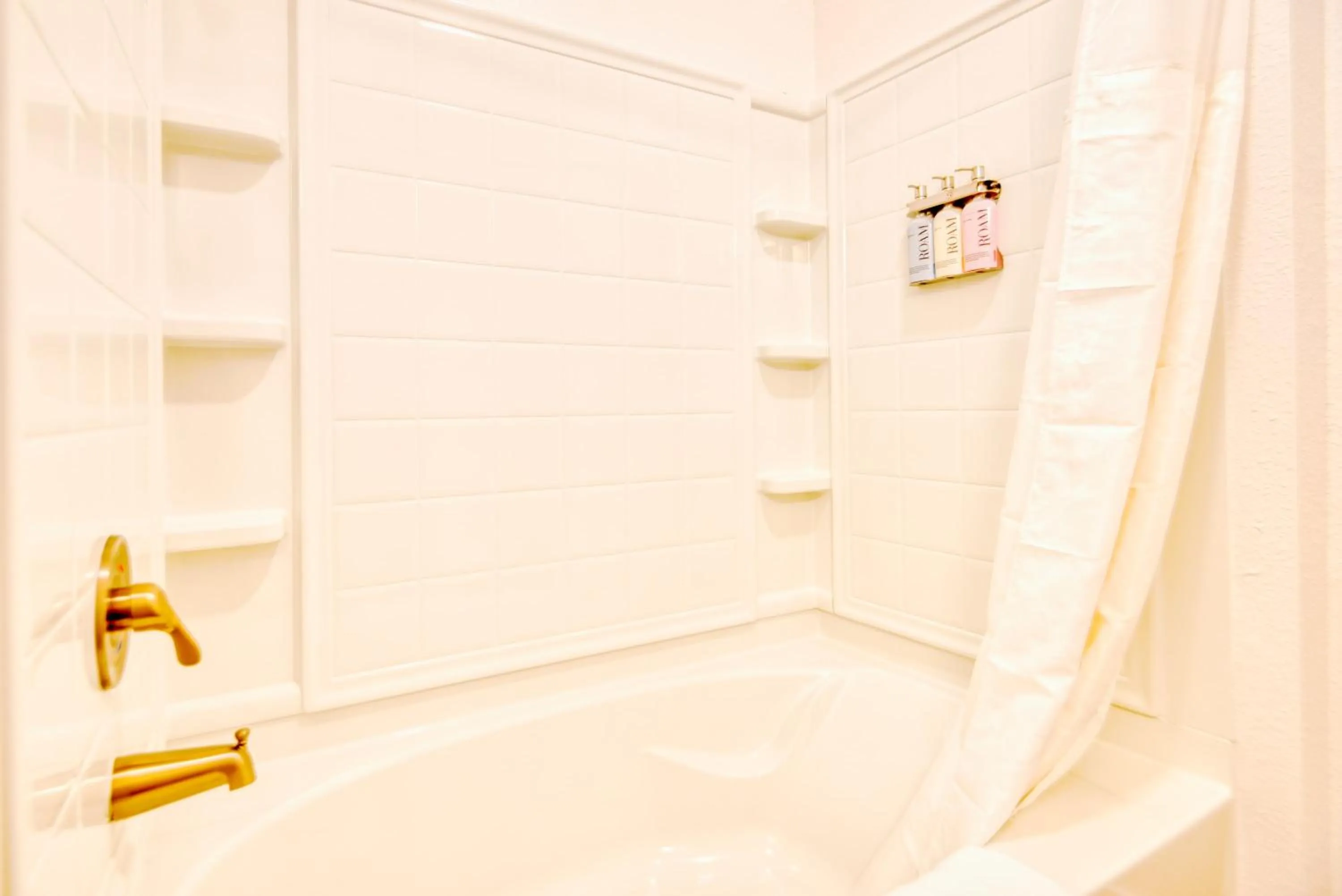 Deluxe One Bedroom Apartment