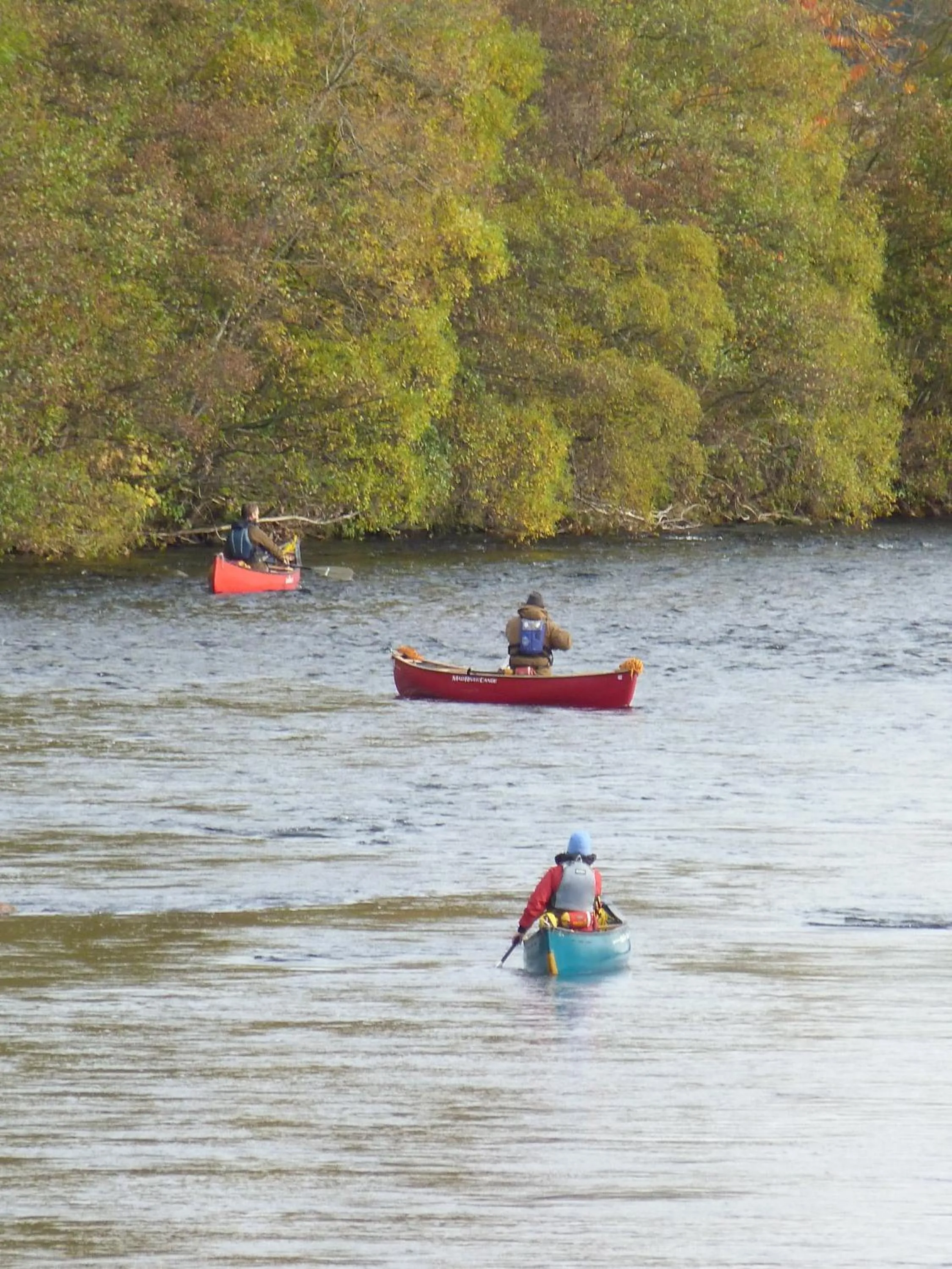 Spring in The Boat Inn