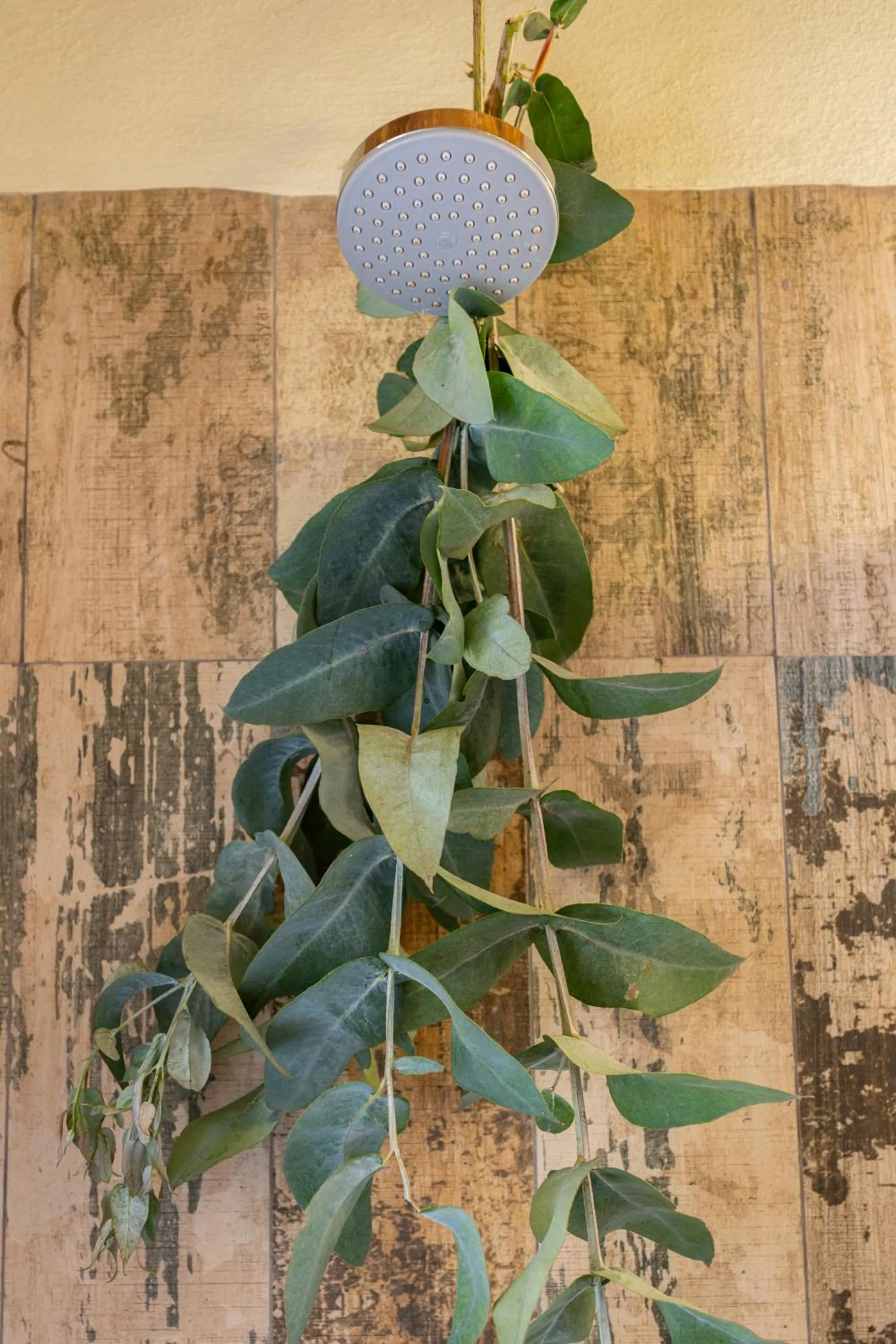 Shower in Unuwasi Hotel & Villa