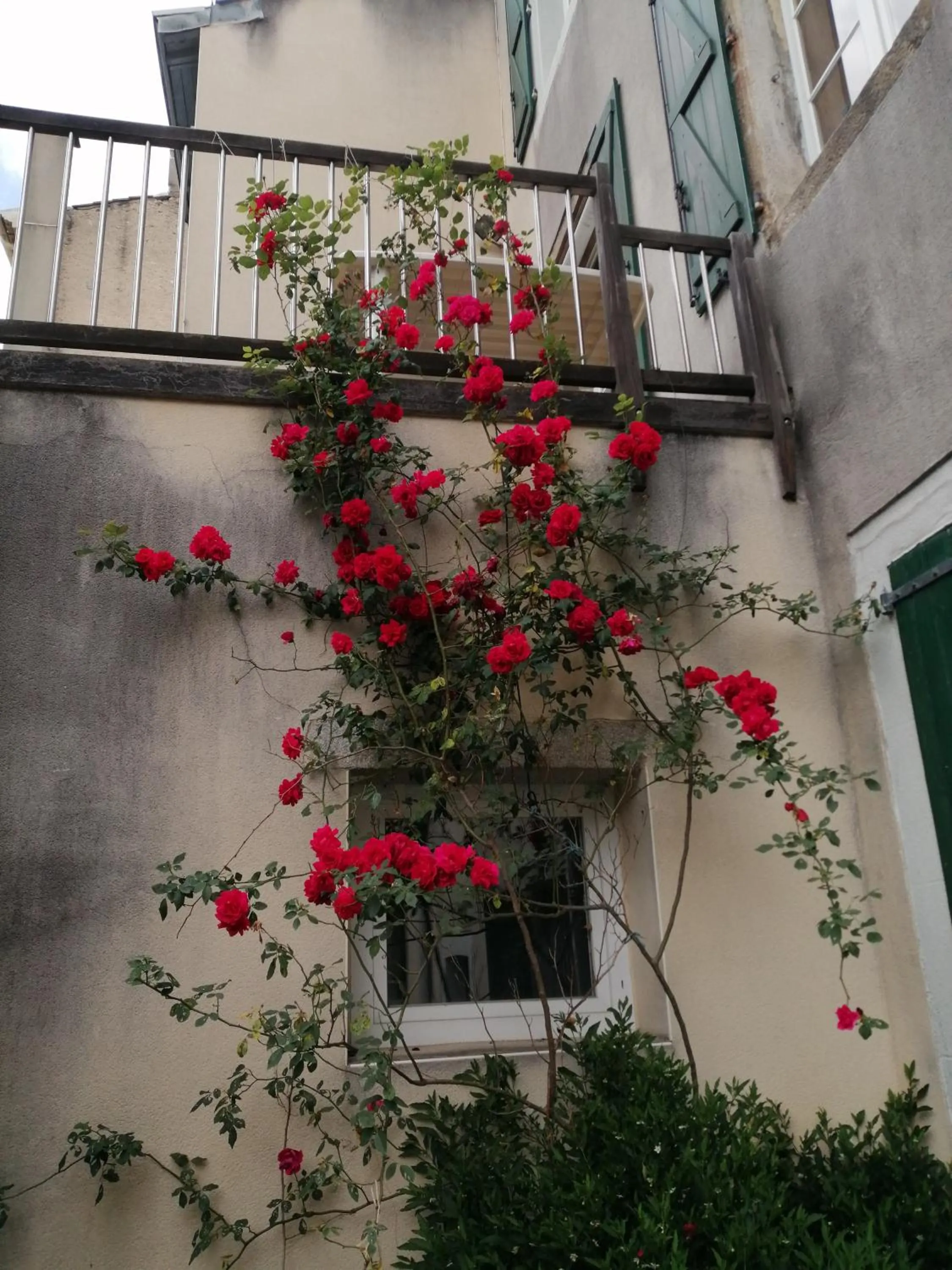 MAISON ALBA LA SOURCE