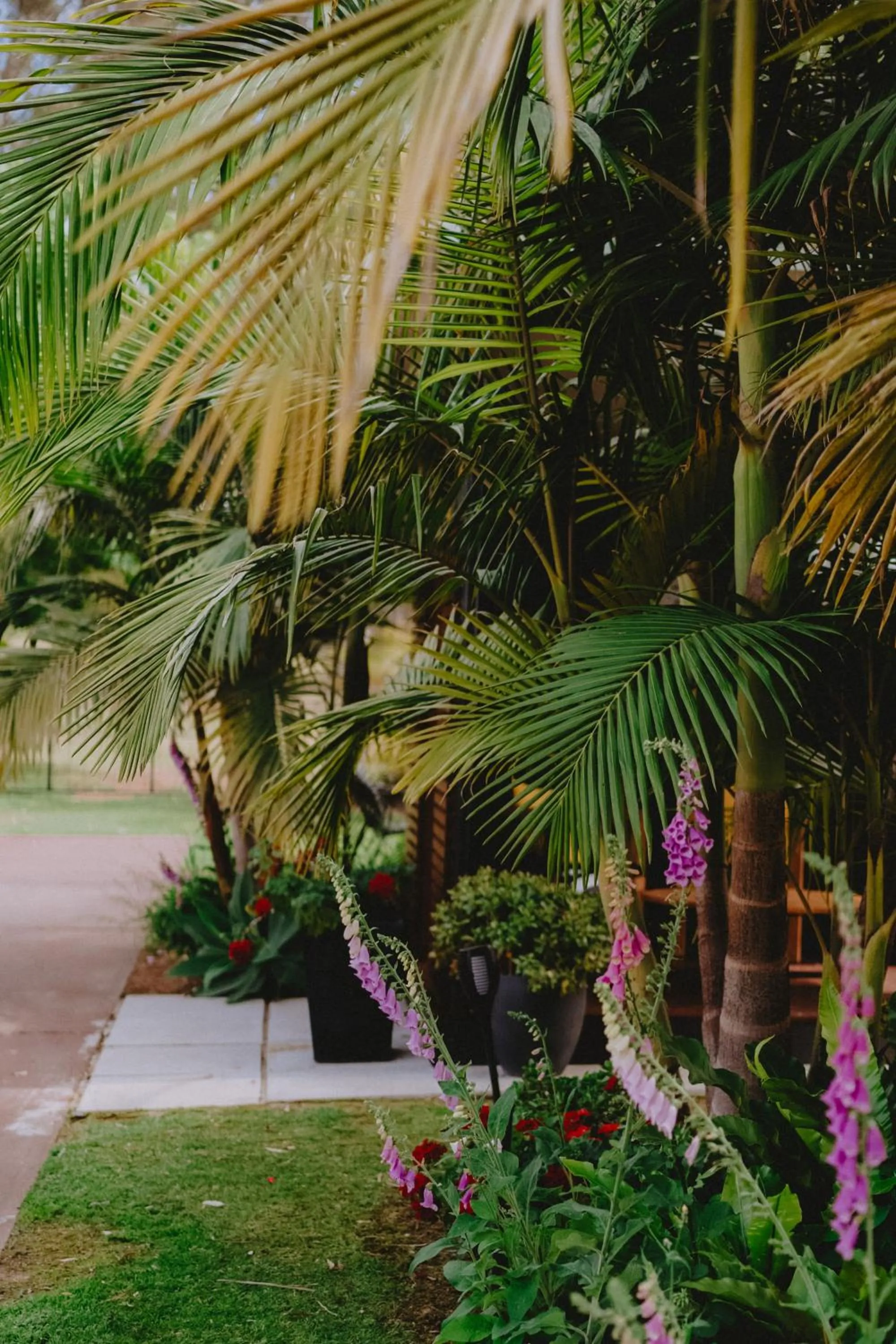 Garden in Mulwala Resort