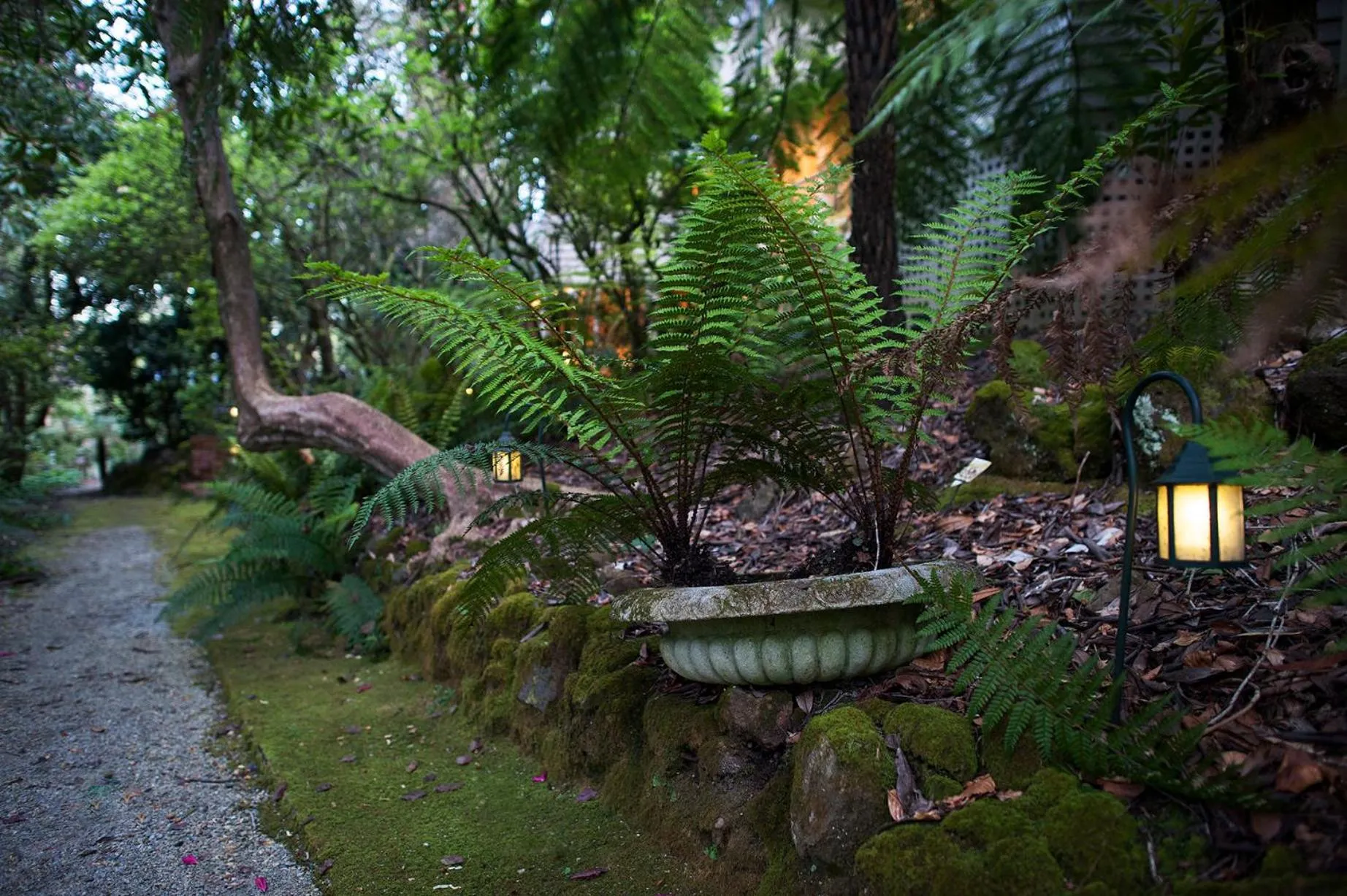 Garden in Linden Gardens Rainforest Retreat