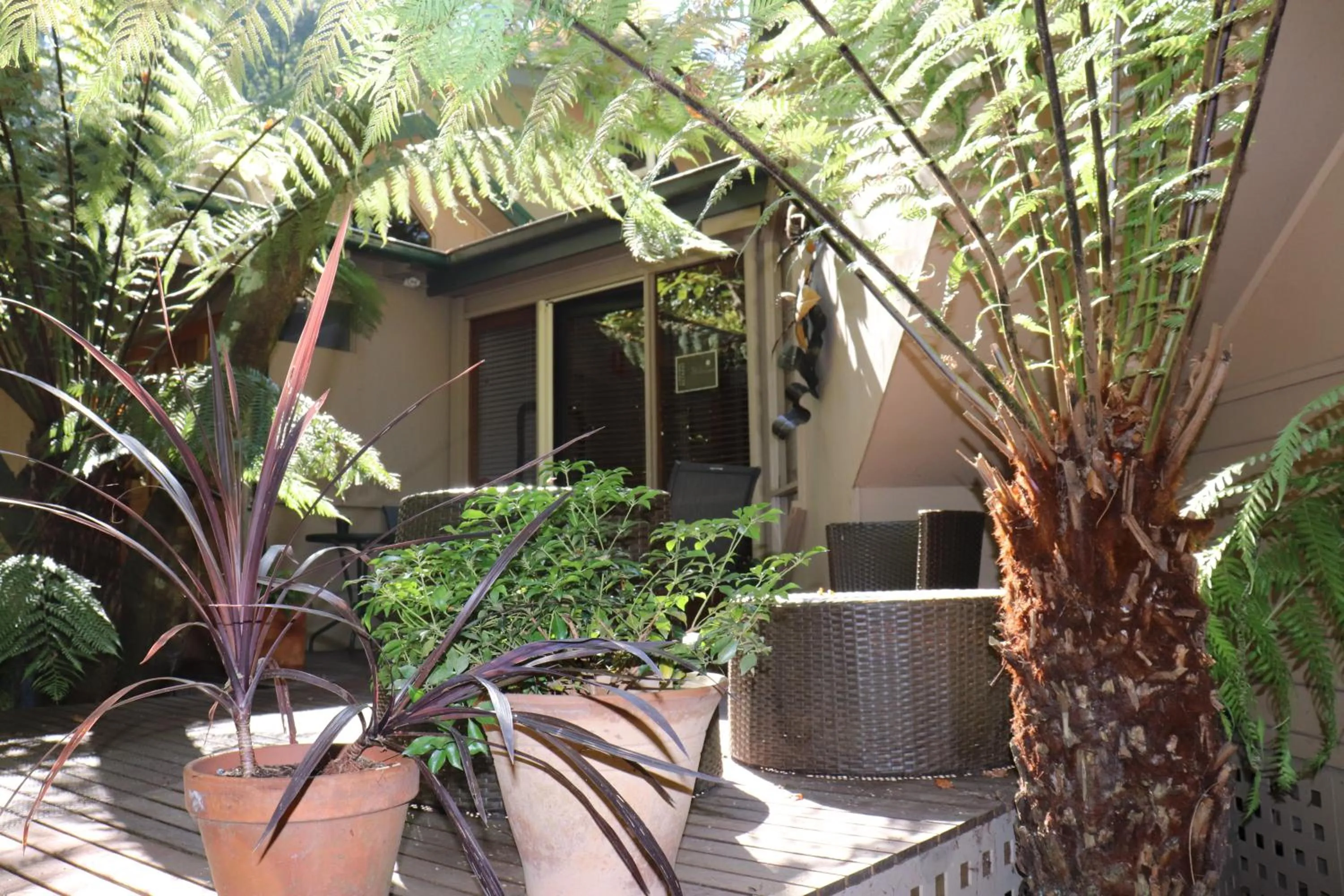 Property building in Linden Gardens Rainforest Retreat