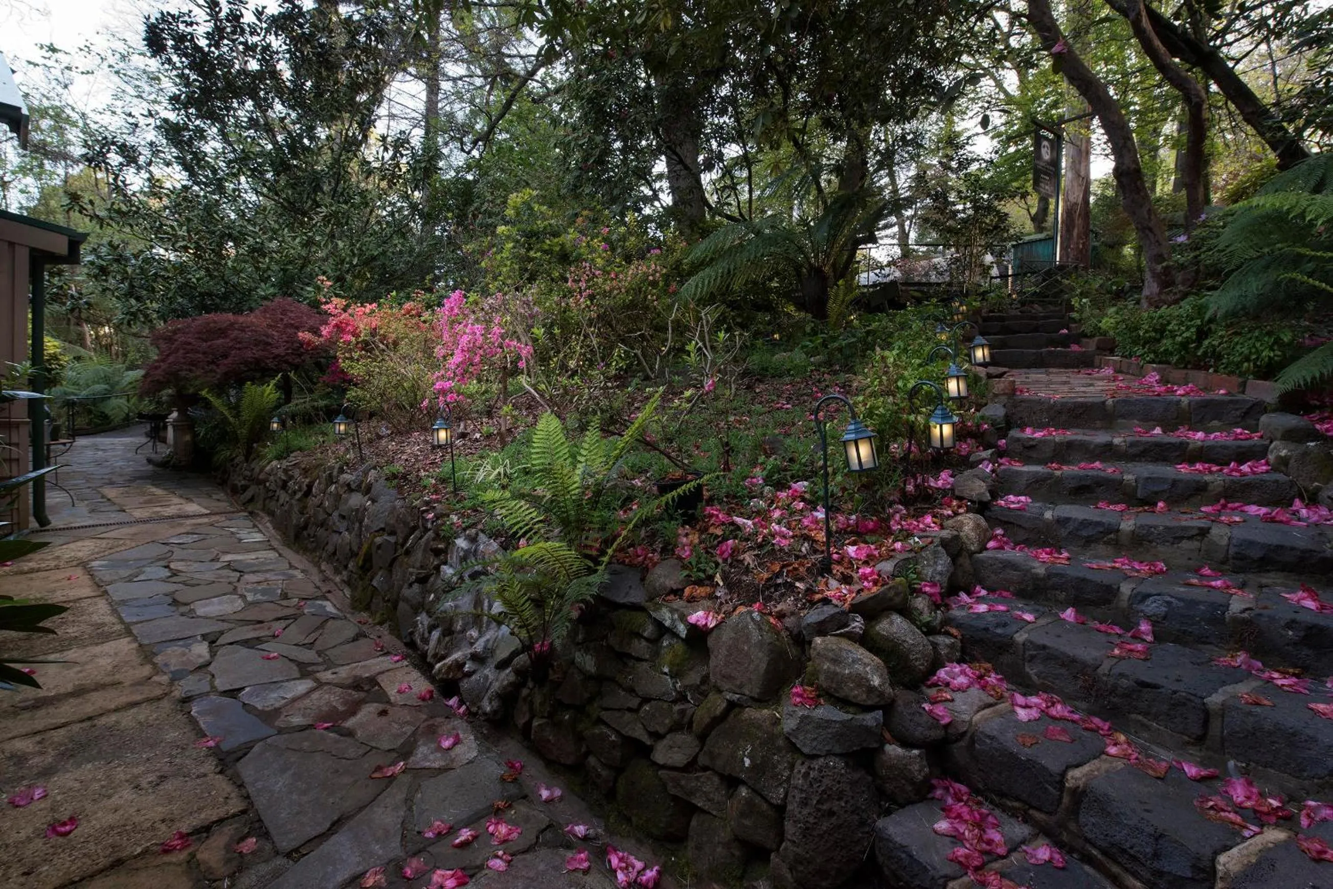 Garden in Linden Gardens Rainforest Retreat