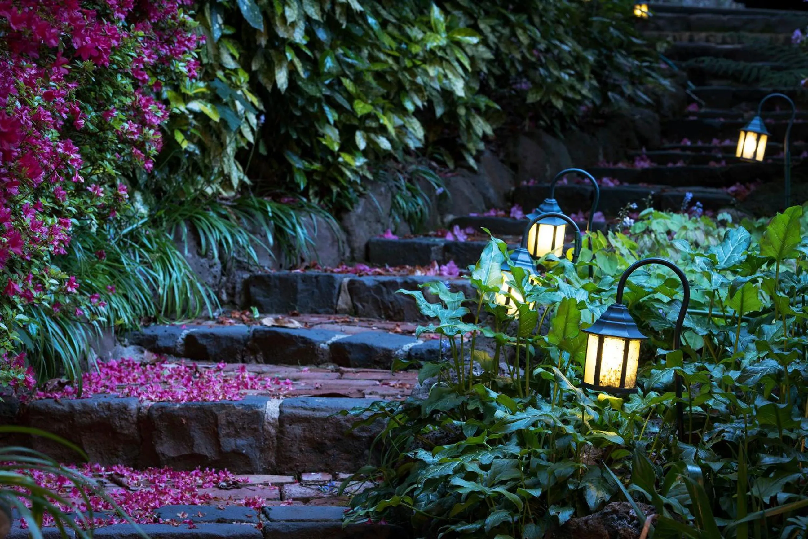 Garden in Linden Gardens Rainforest Retreat