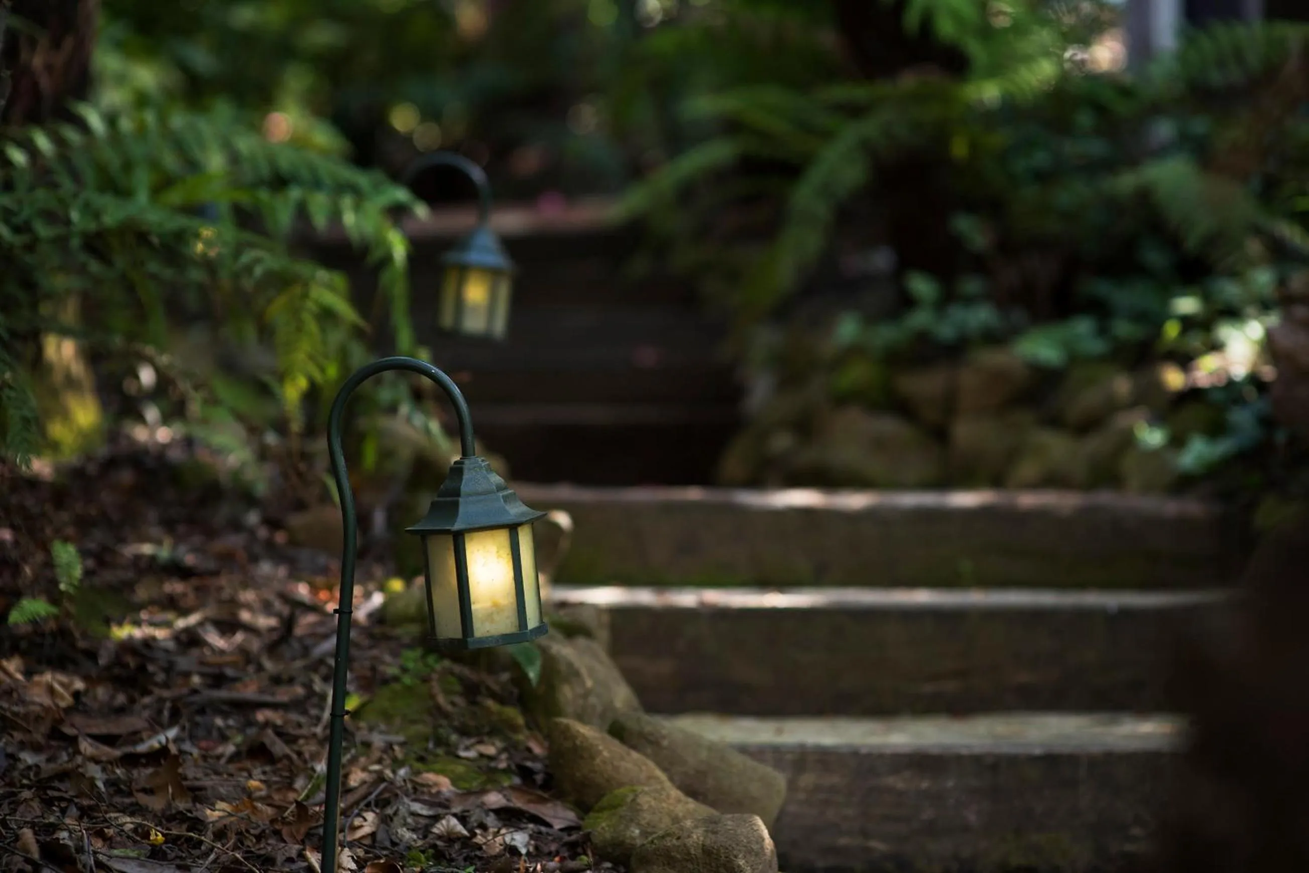 Garden in Linden Gardens Rainforest Retreat