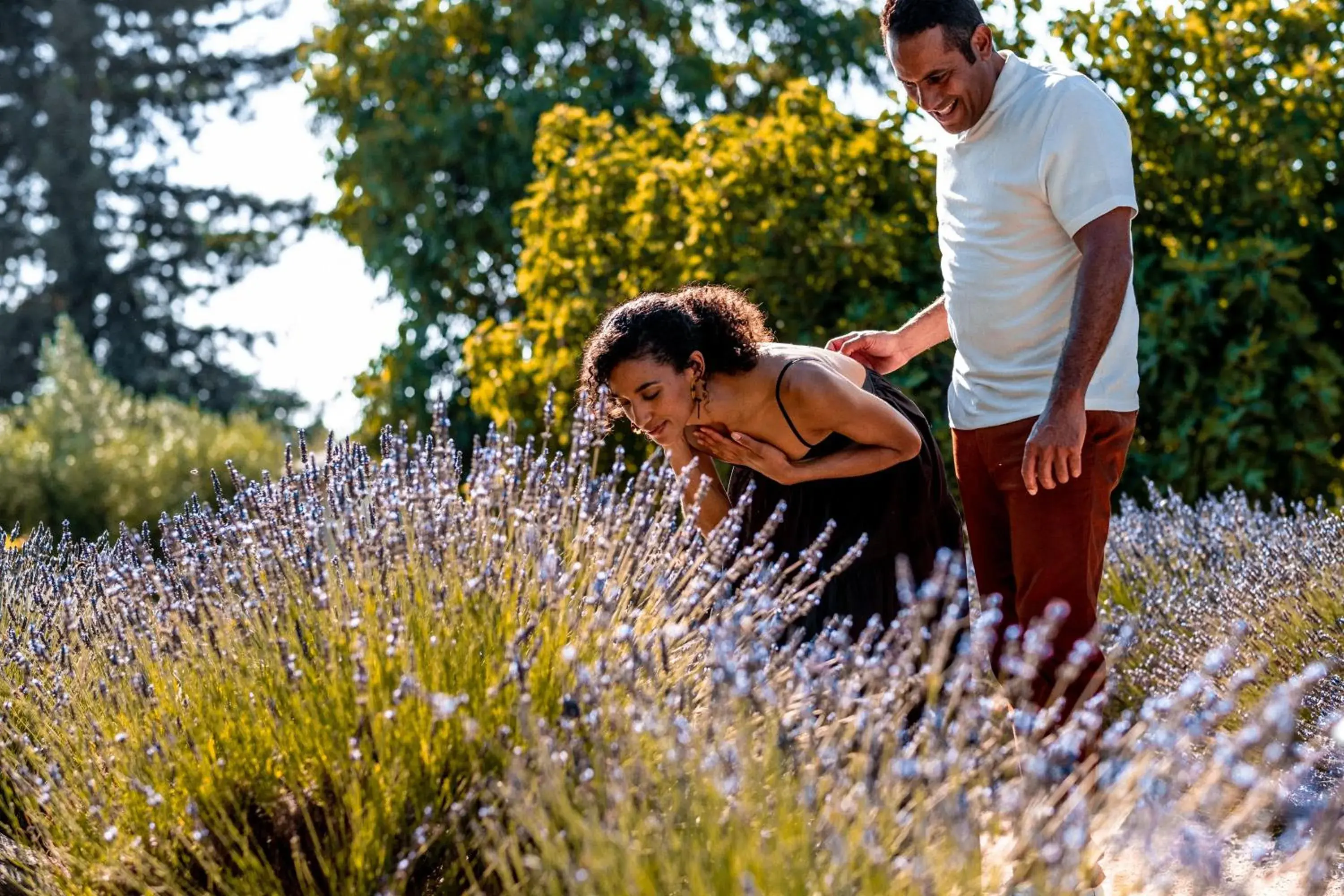 Activities in Stanly Ranch, Auberge Collection Activities in Stanly Ranch, Auberge Collection