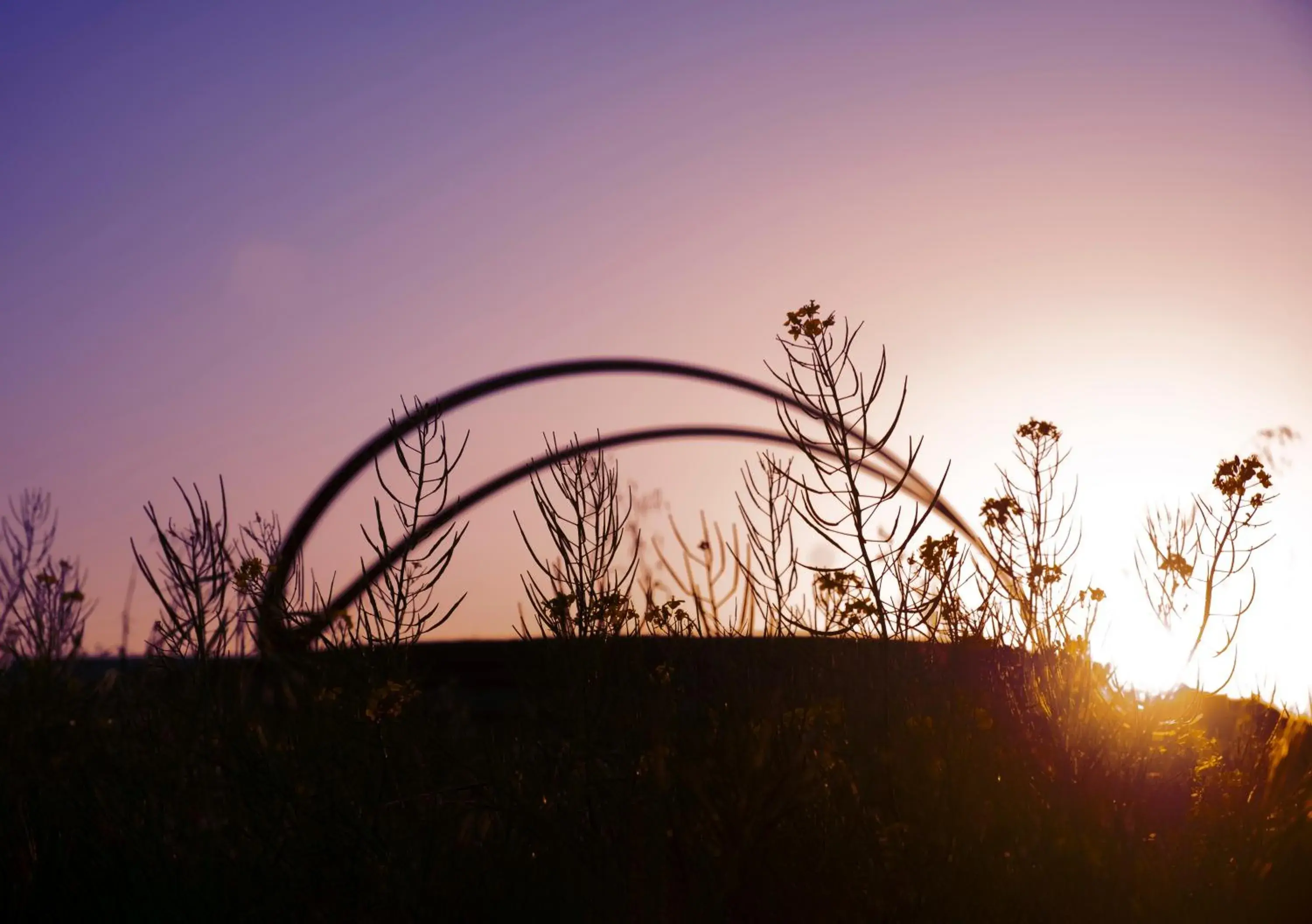 View (from property/room) in Stanly Ranch, Auberge Collection View (from property/room) in Stanly Ranch, Auberge Collection