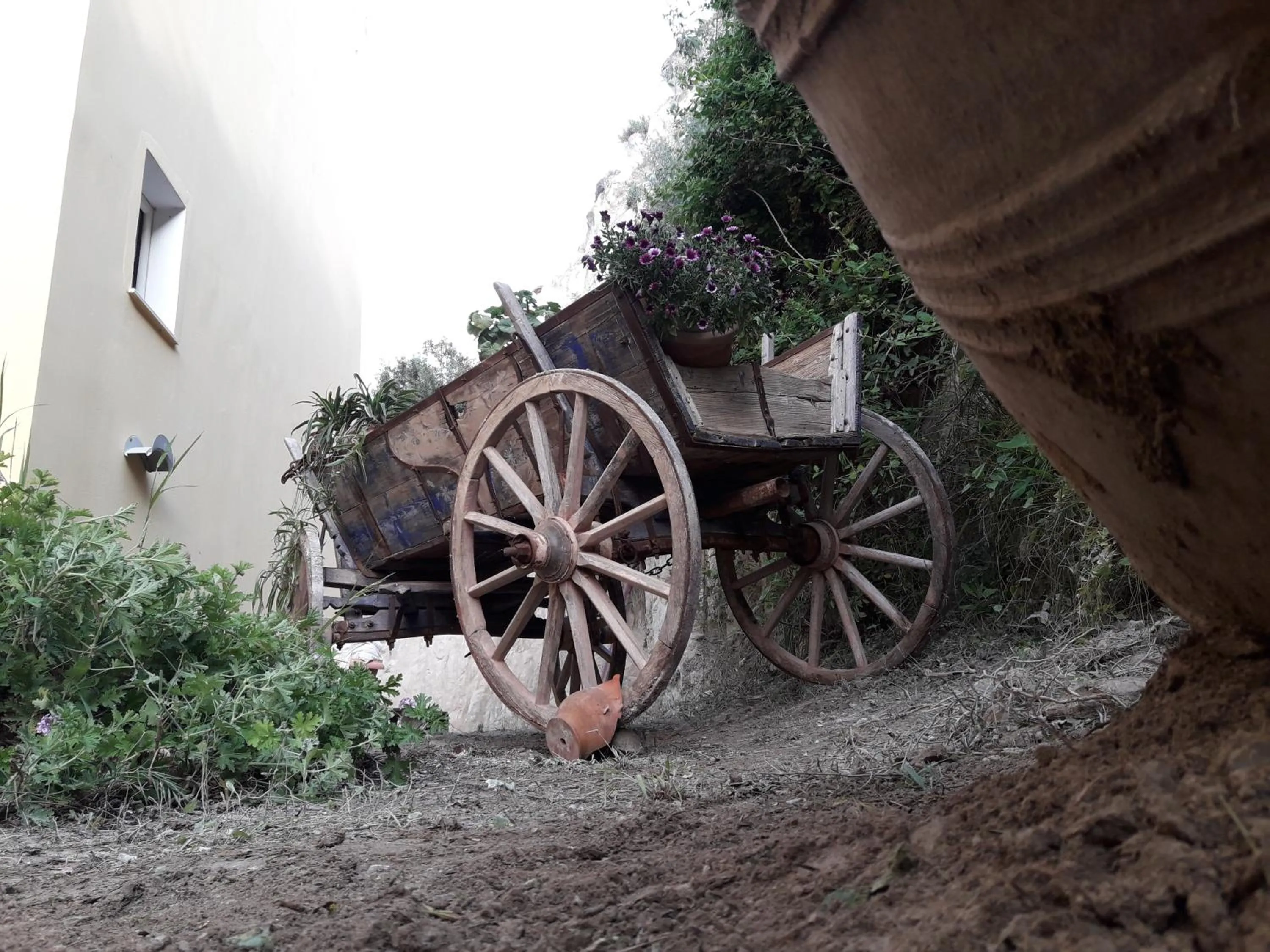 Garden view in Kalyves Bay