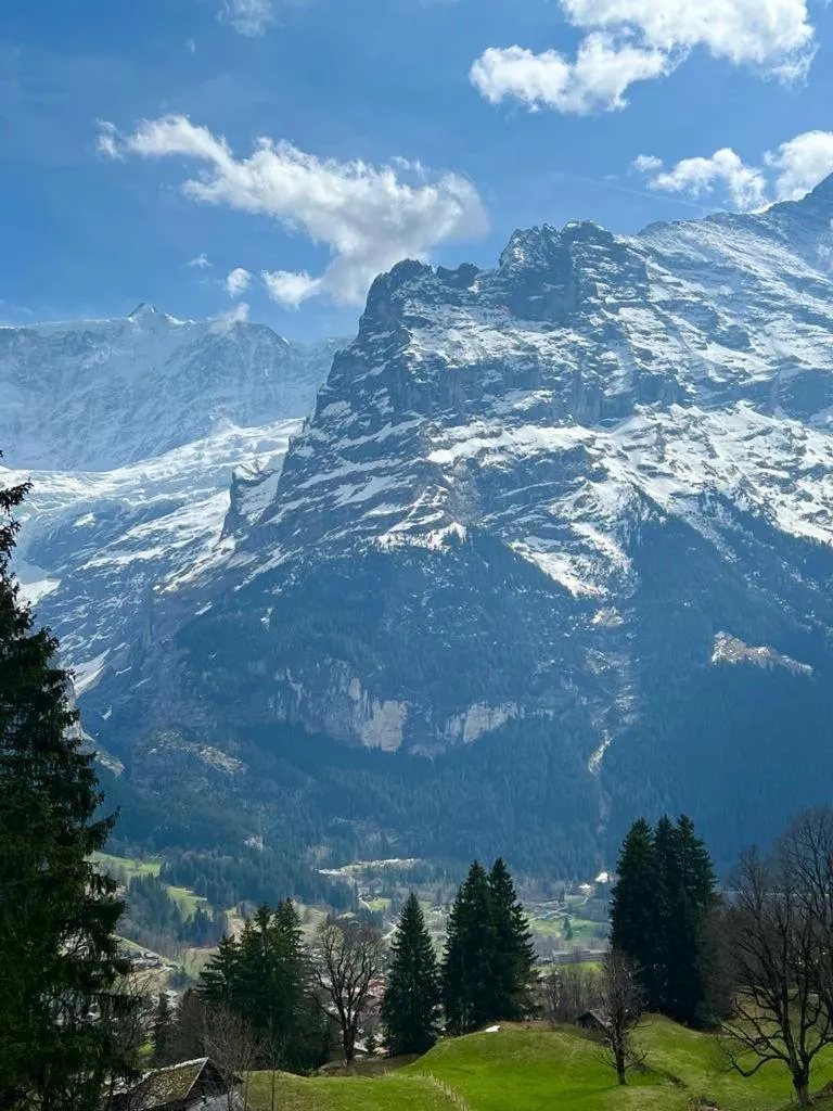 Mountain view in Eiger View Alpine Lodge